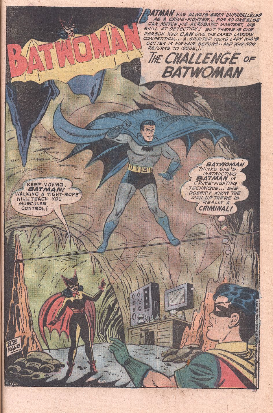 The Batman Family issue 3 - Page 25