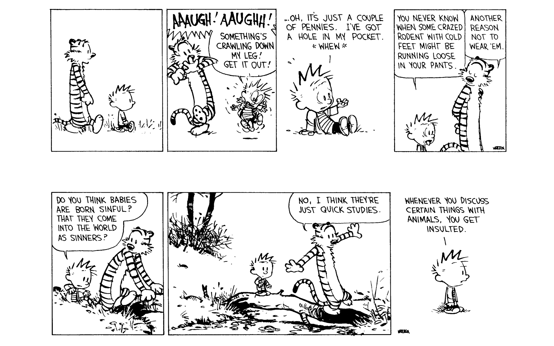 Read online Calvin and Hobbes comic -  Issue #9 - 88