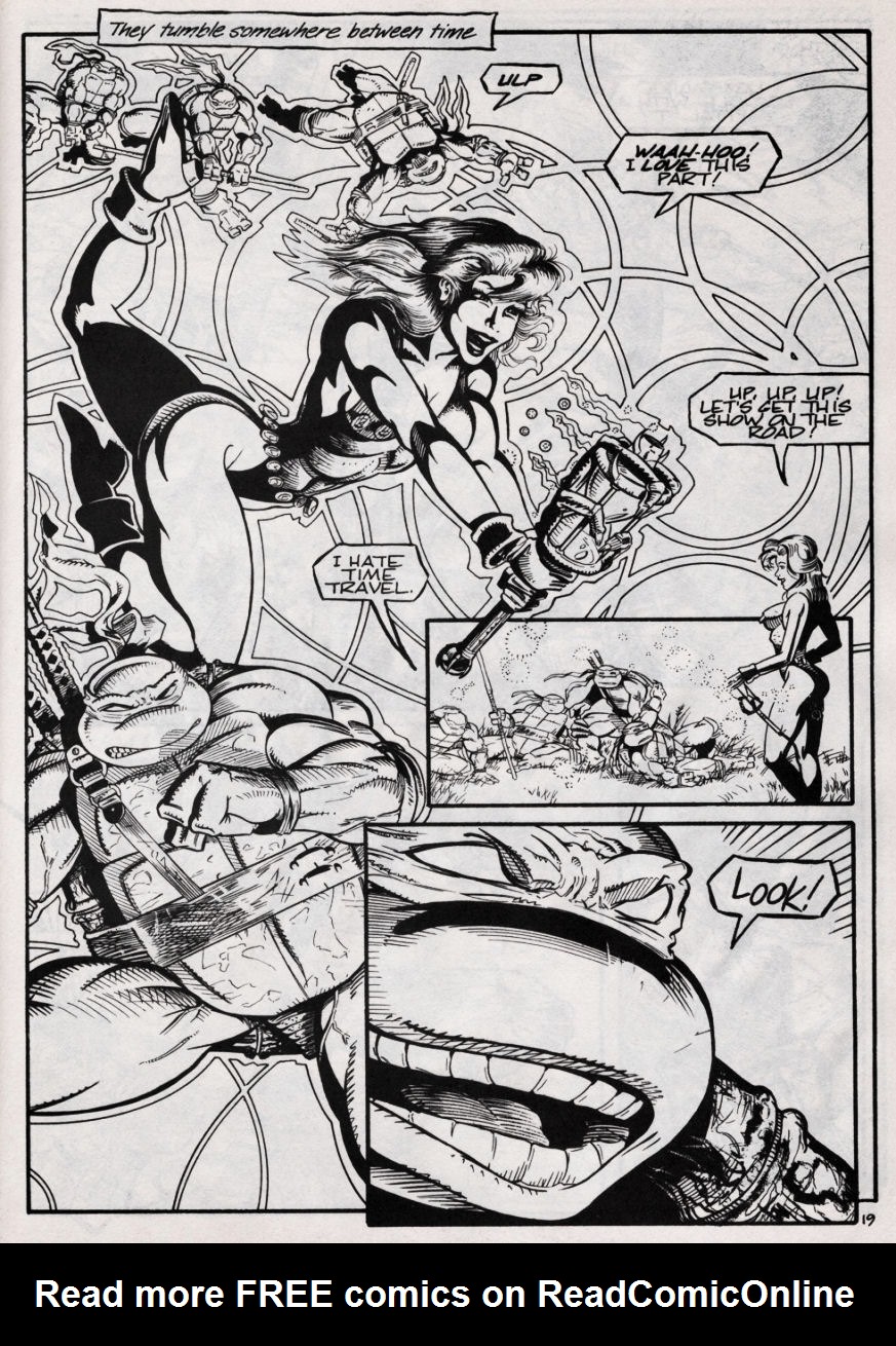 Teenage Mutant Ninja Turtles (1984) Issue #46 #46 - English 19