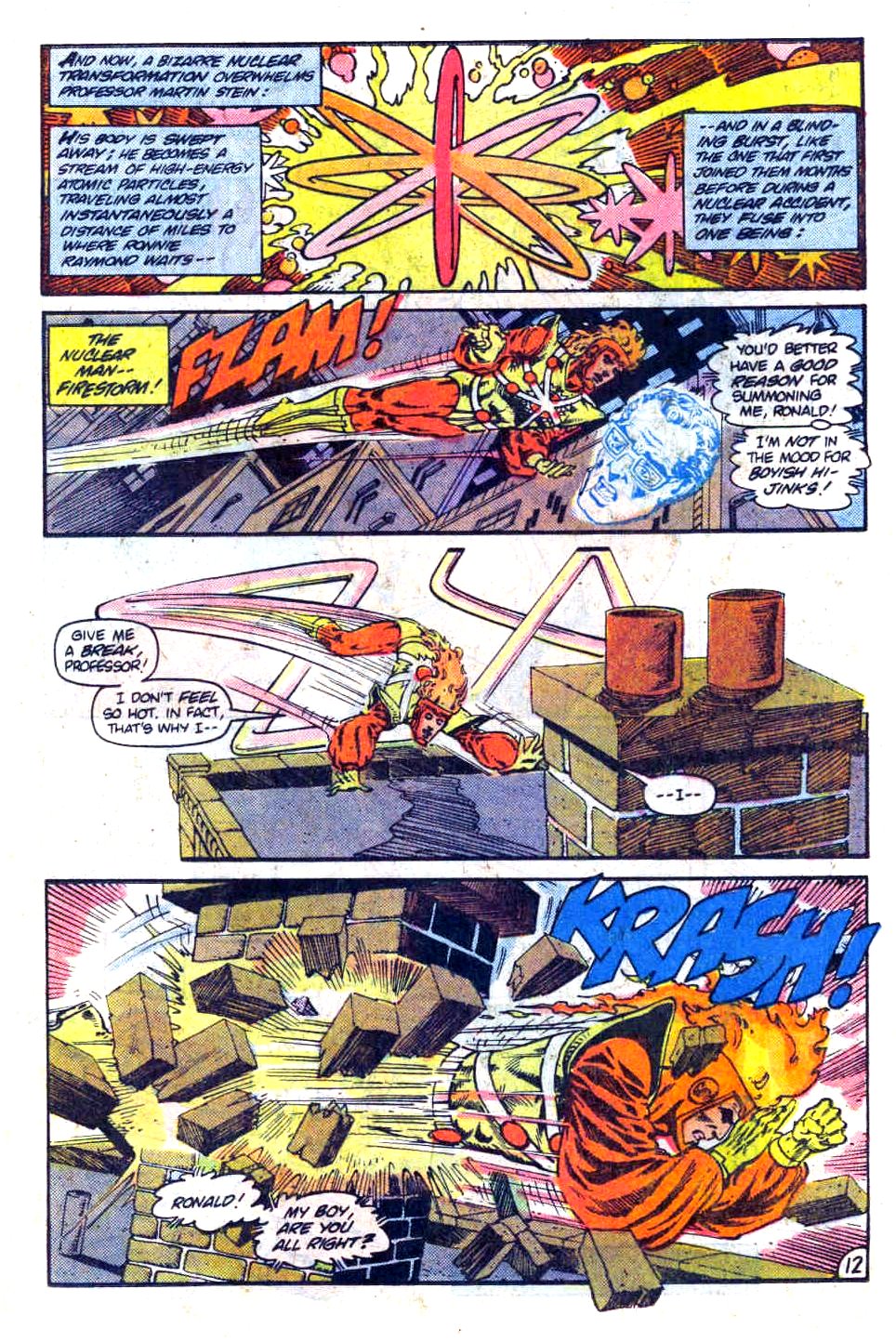 The Fury of Firestorm Issue #11 #15 - English 13