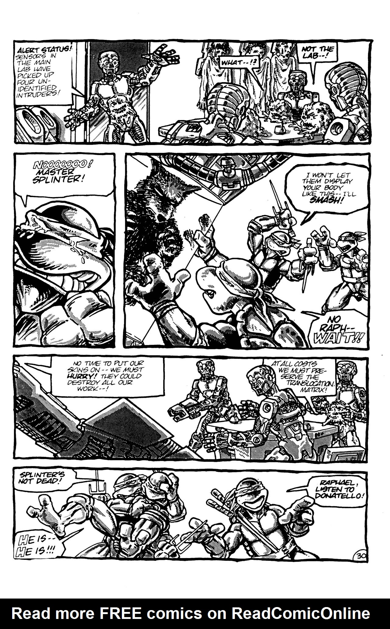 Teenage Mutant Ninja Turtles (1984) Issue #4 #4 - English 30