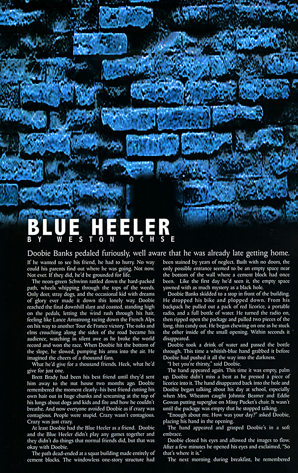 Read online CSI: NY - Bloody Murder comic -  Issue #4 - 29