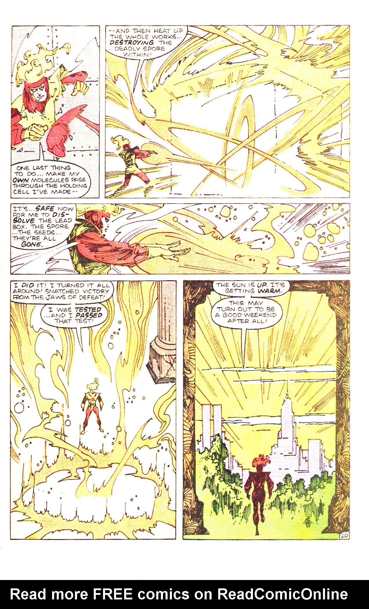 The Fury of Firestorm Issue #37 #41 - English 27