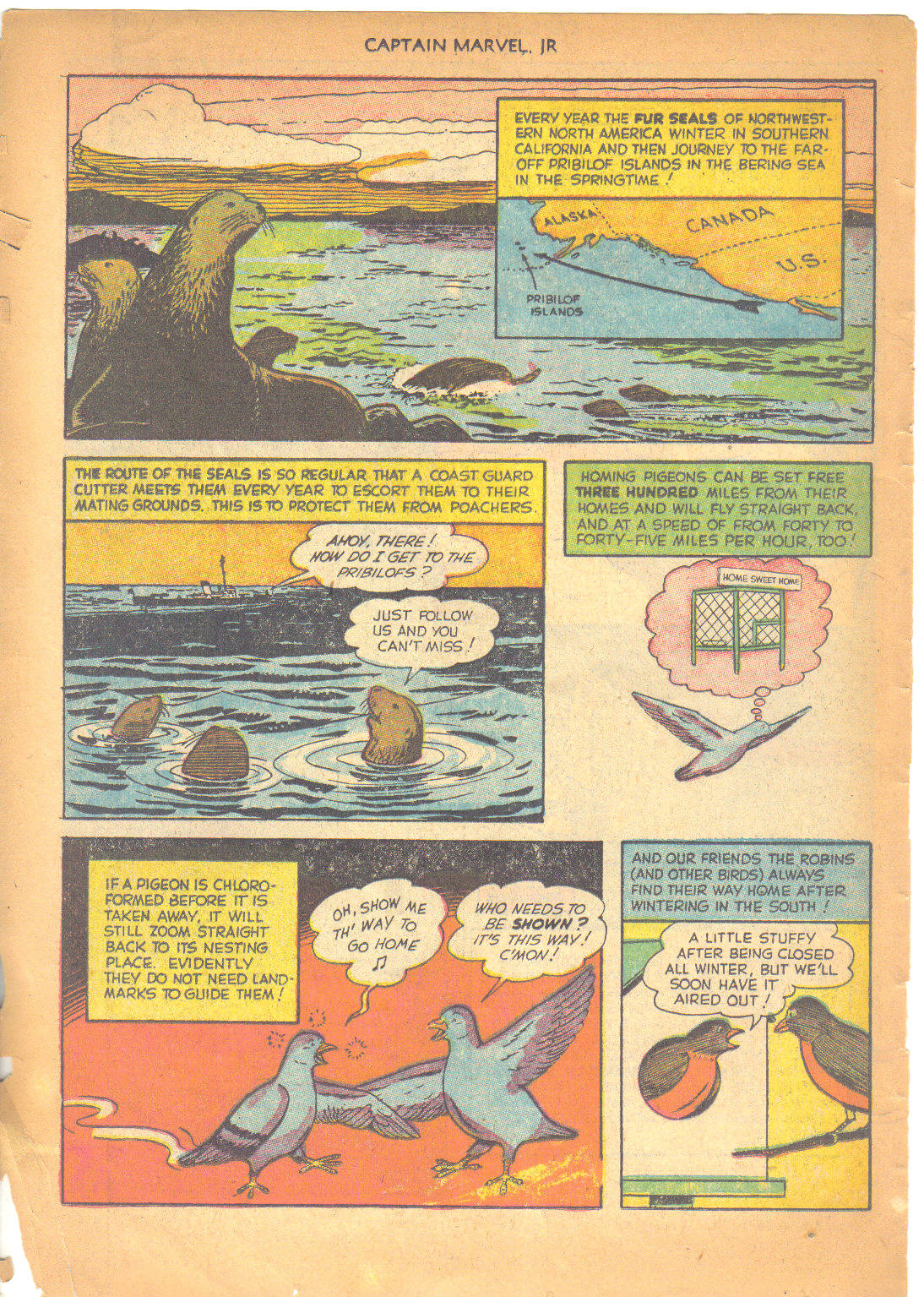 Read online Captain Marvel, Jr. comic -  Issue #117 - 14