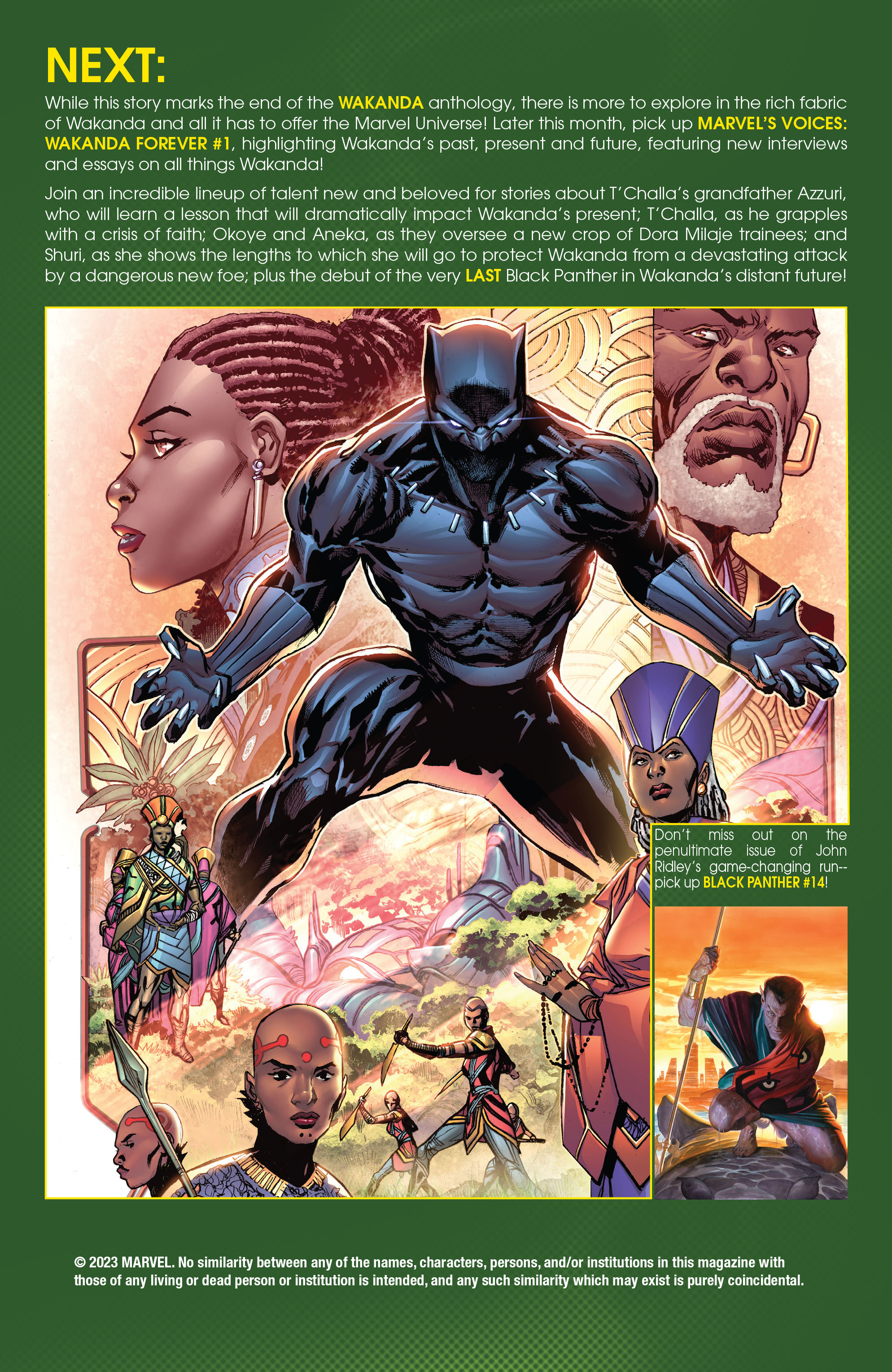 Read online Wakanda comic -  Issue #5 - 24