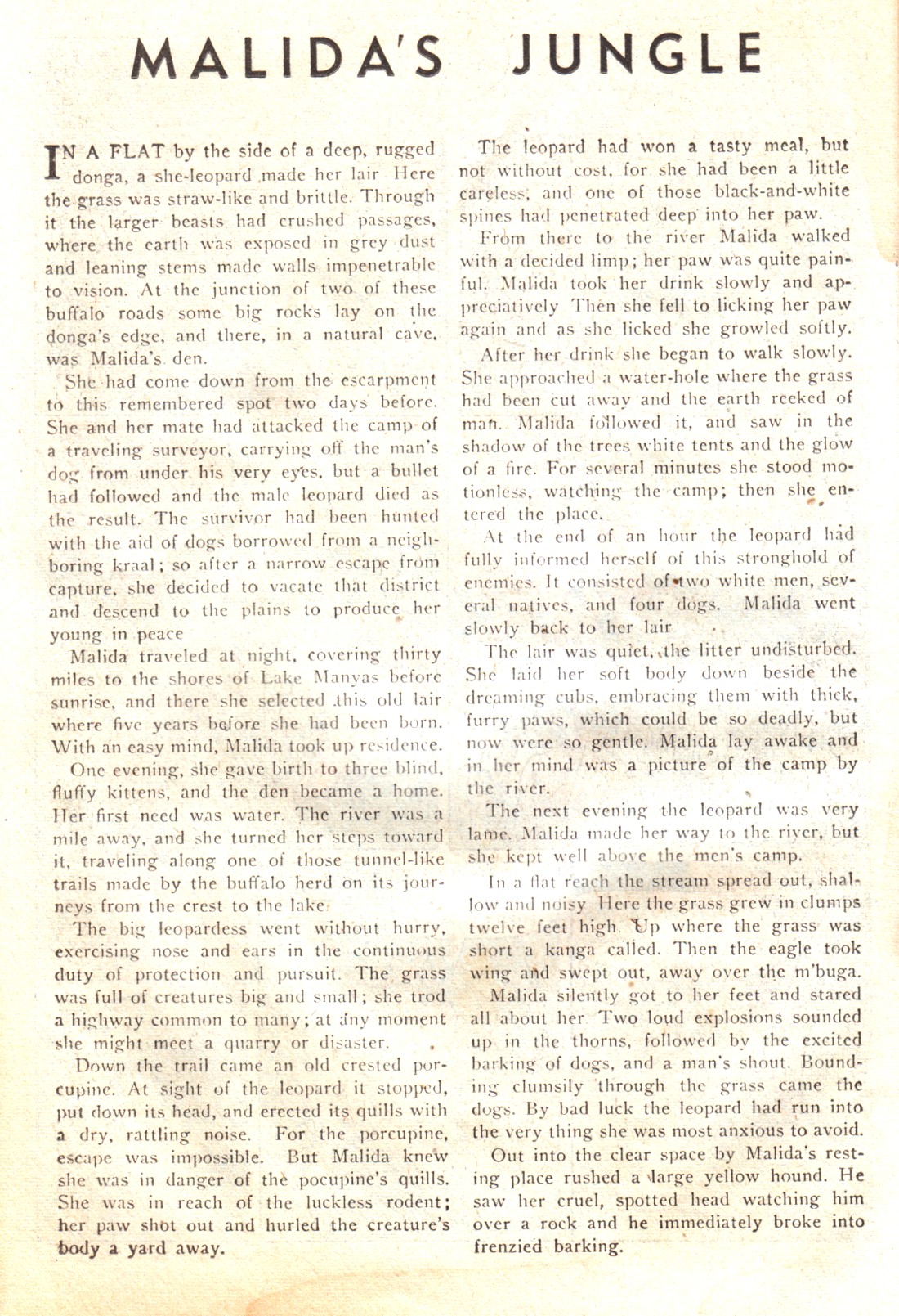 Read online Wambi Jungle Boy comic -  Issue #17 - 26