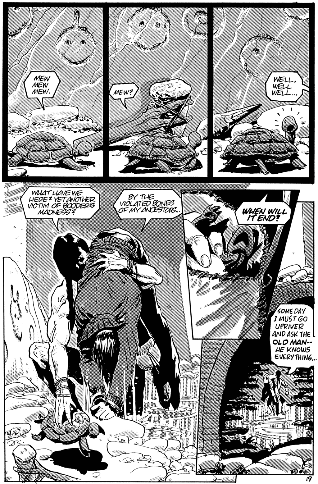 Read online Teenage Mutant Ninja Turtles (1984) comic -  Issue #25 - 21
