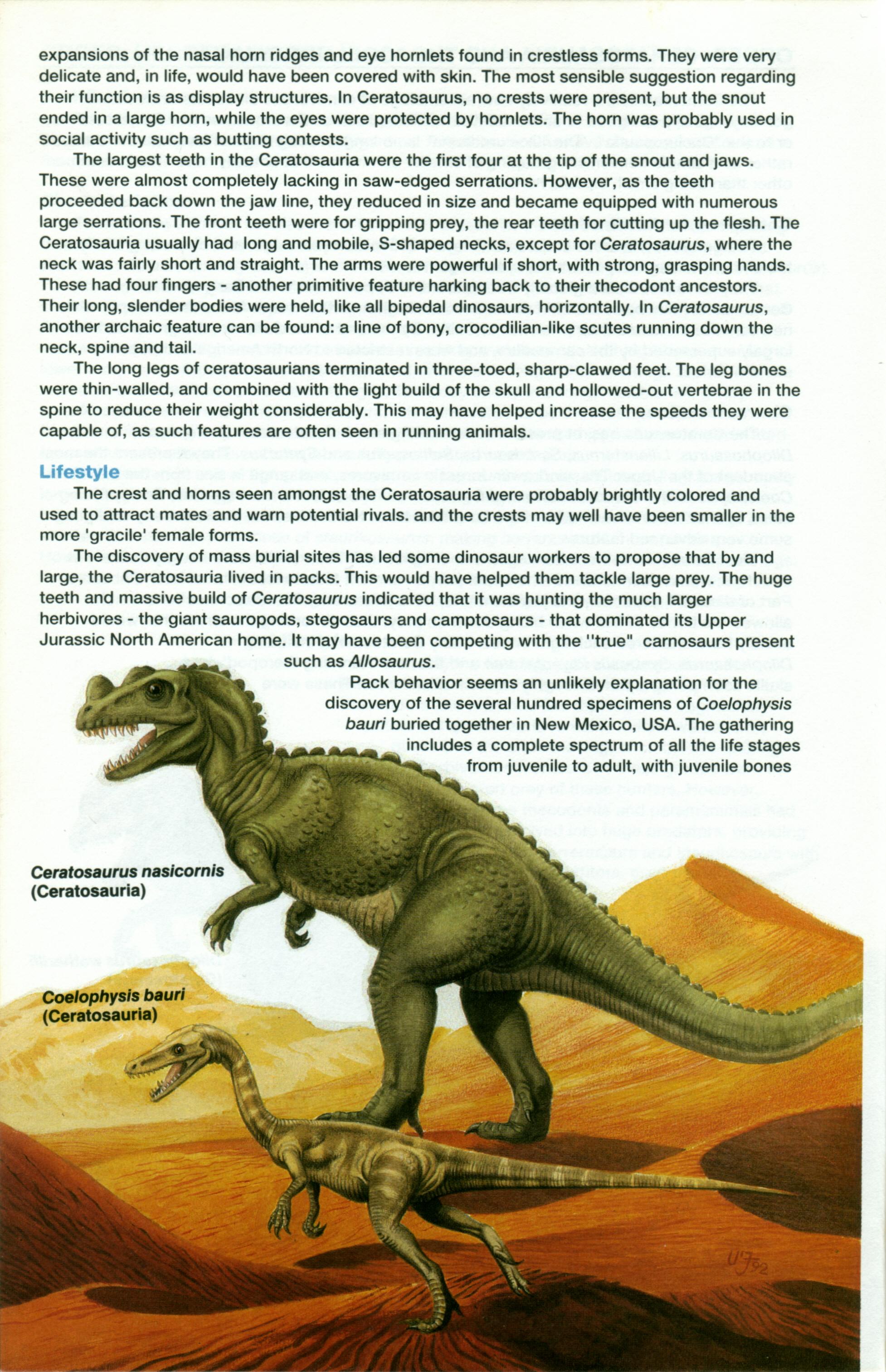 Read online Dinosaurs, A Celebration comic -  Issue #1 - 13