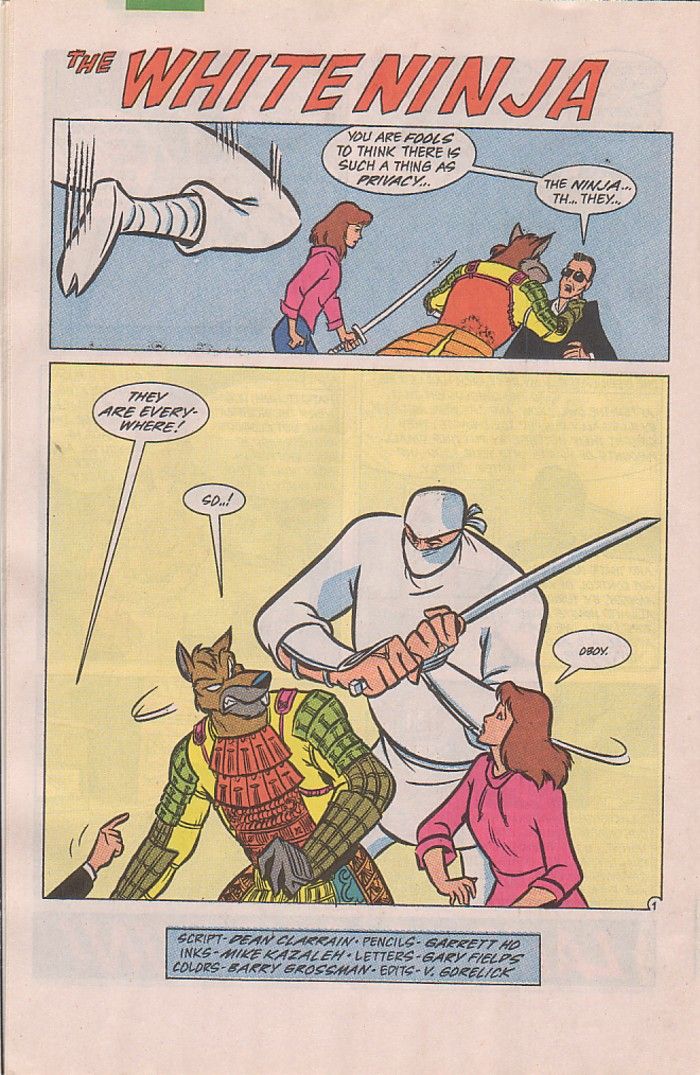 Read online Teenage Mutant Ninja Turtles Adventures (1989) comic -  Issue #27 - 29