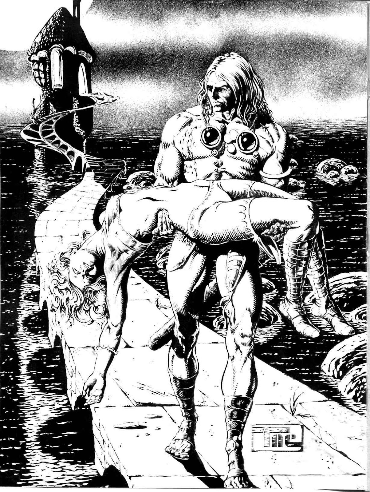 The Savage Sword Of Conan issue 10 - Page 2