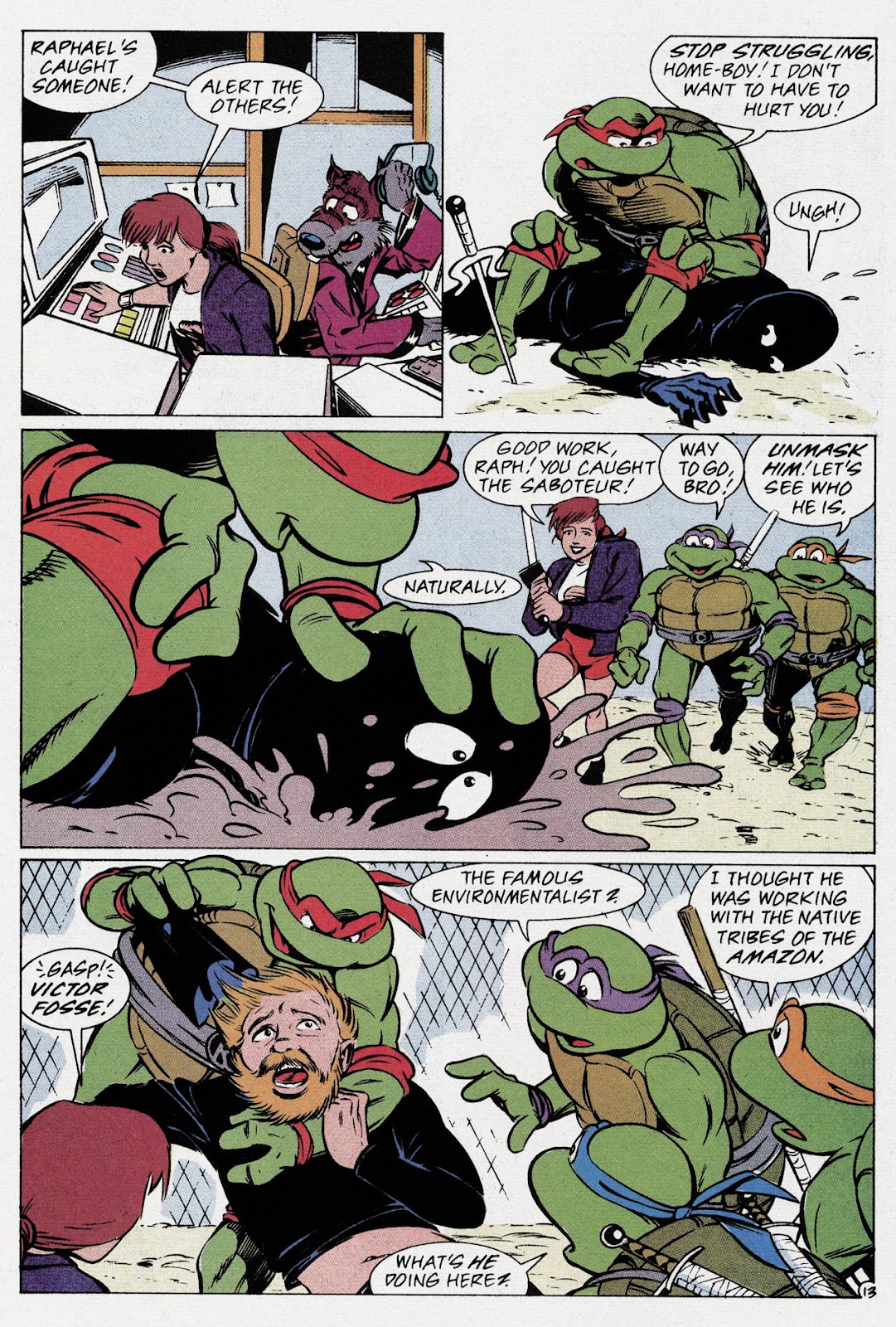 Teenage Mutant Ninja Turtles Adventures (1989) issue Special 1 - Page 15