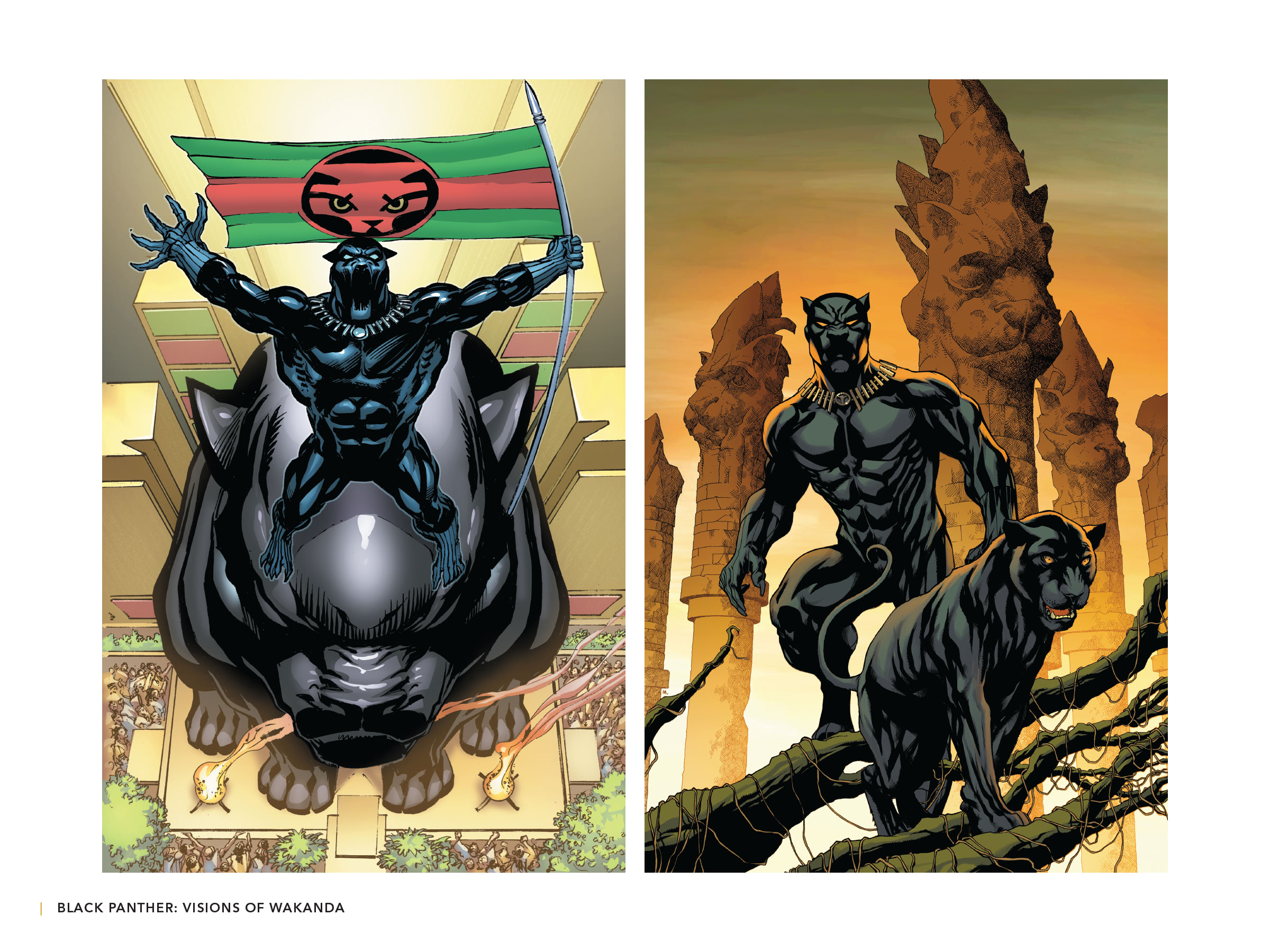 Read online Black Panther: Visions of Wakanda comic -  Issue # TPB (Part 4) - 46