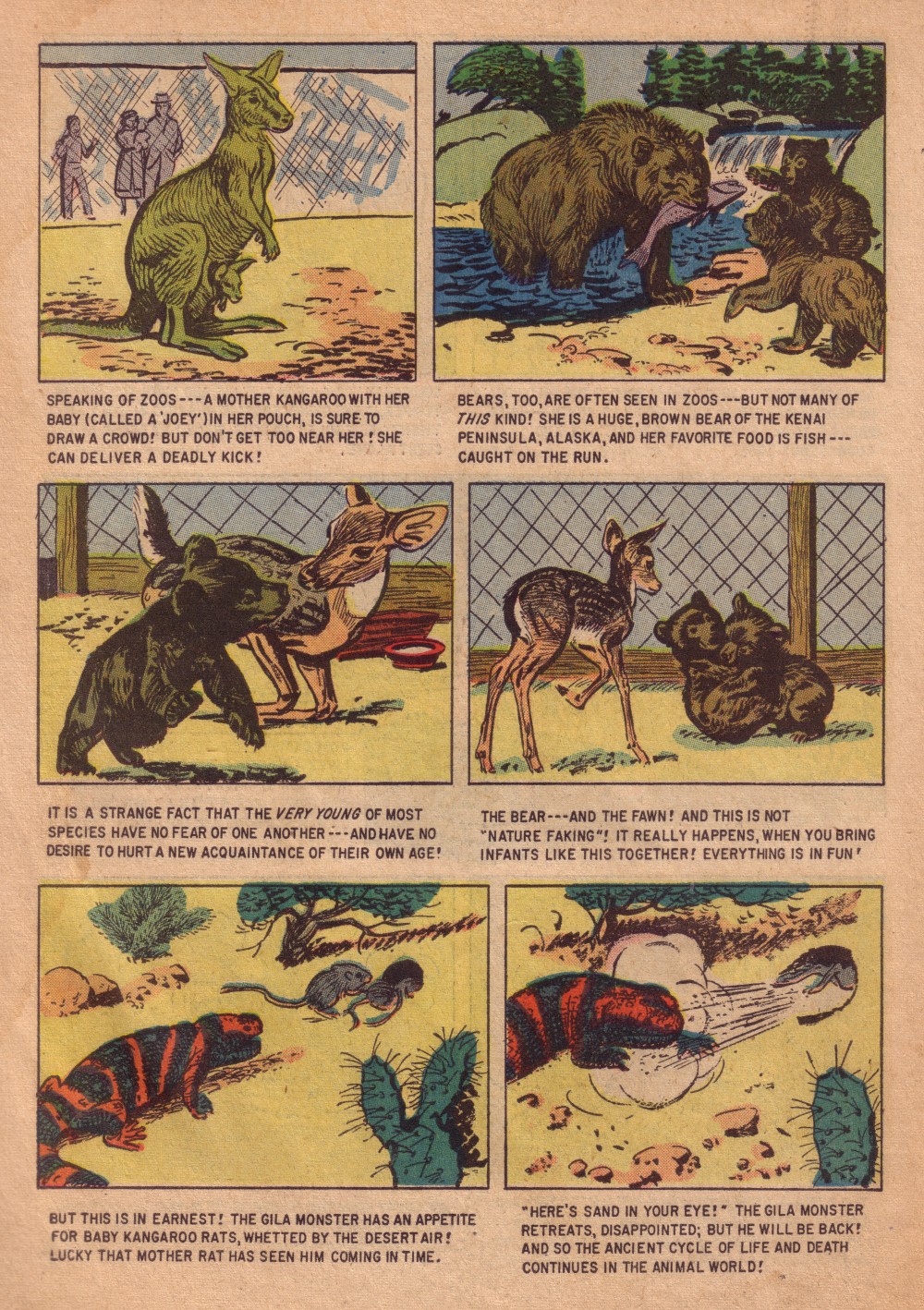 Read online Four Color Comics comic -  Issue #713 - 34