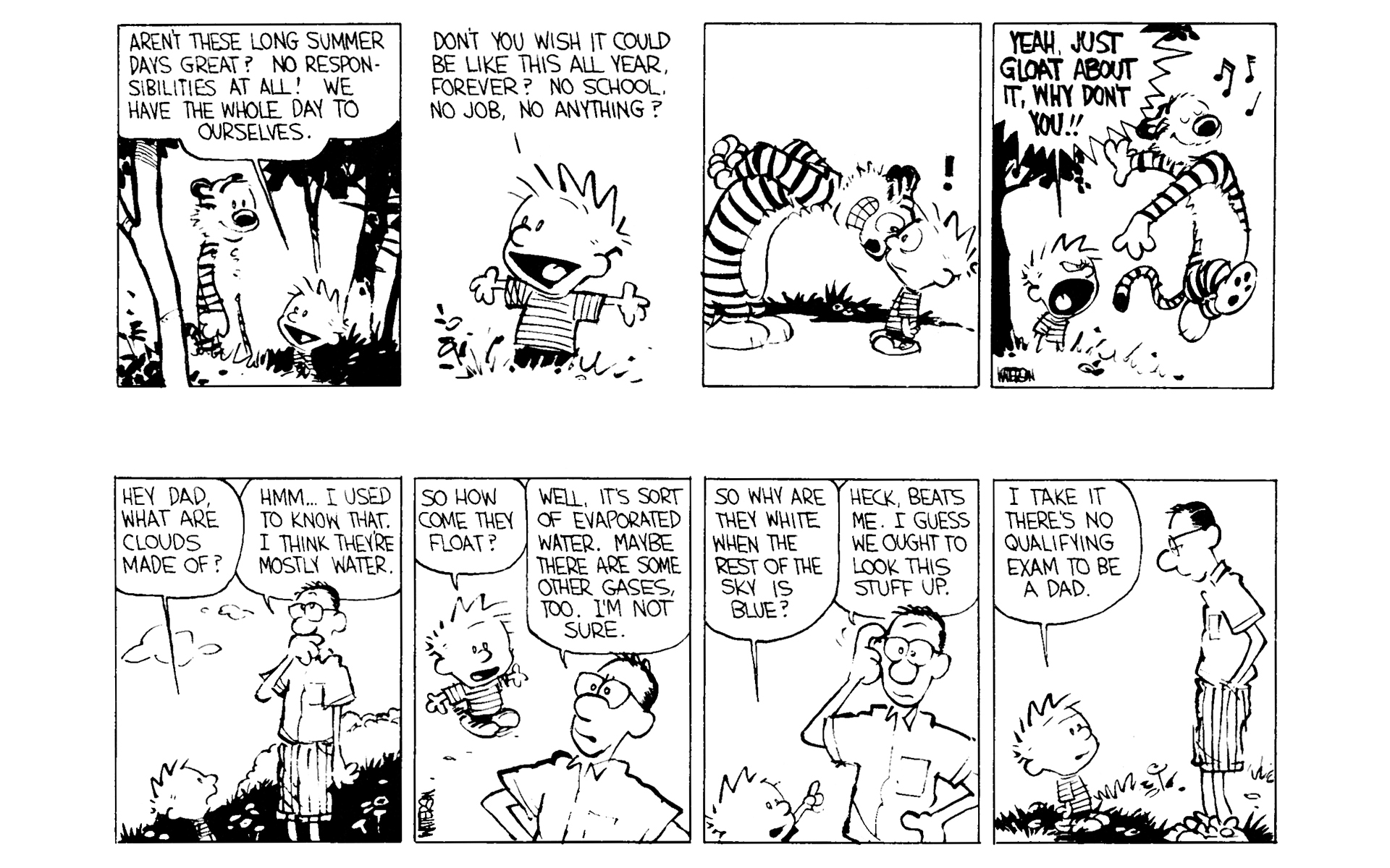 Read online Calvin and Hobbes comic -  Issue #3 - 39