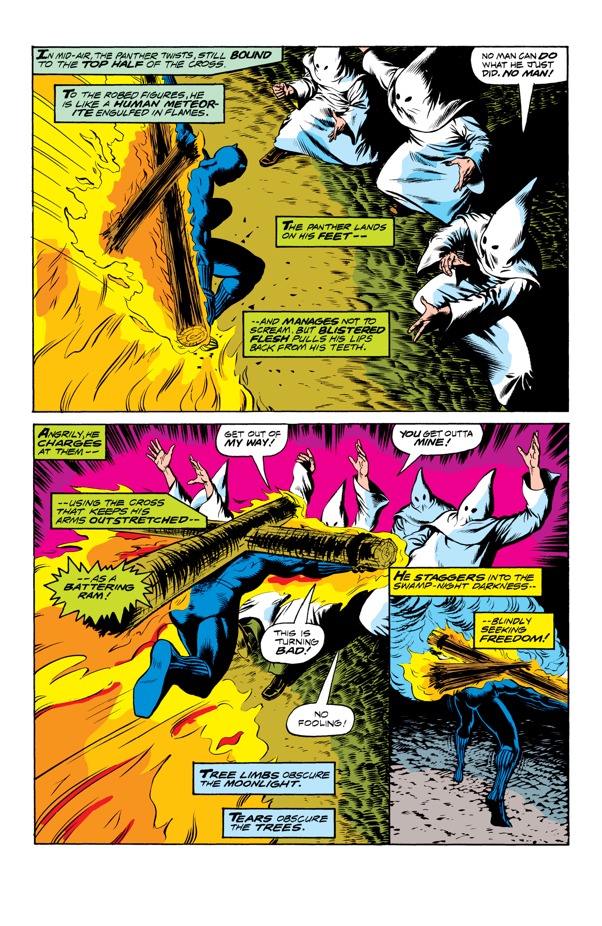 Read online Black Panther: The Early Years Omnibus comic -  Issue # TPB (Part 8) - 44