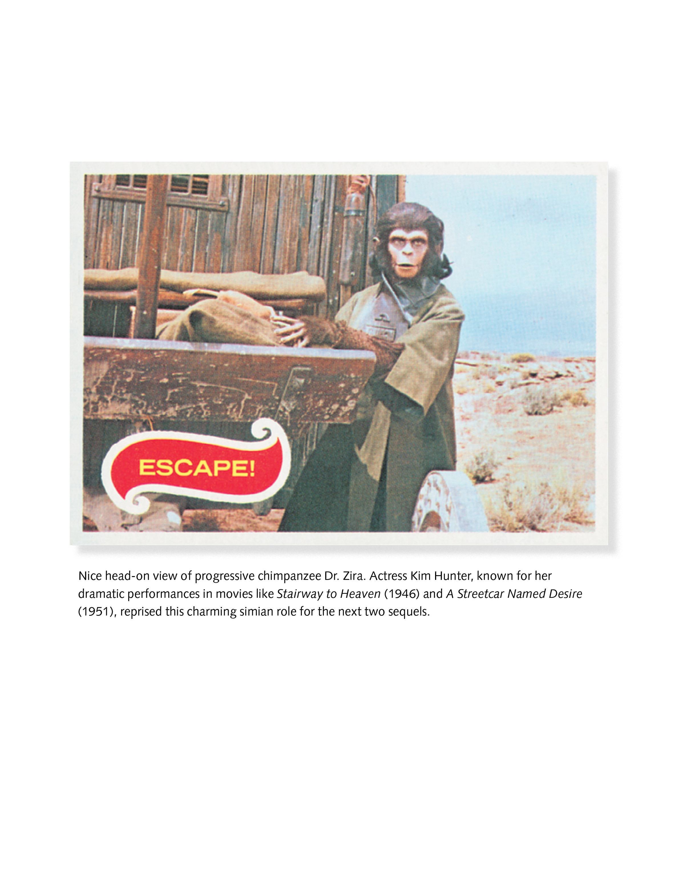 Read online Planet of the Apes: The Original Topps Trading Card Series comic -  Issue # TPB (Part 1) - 98