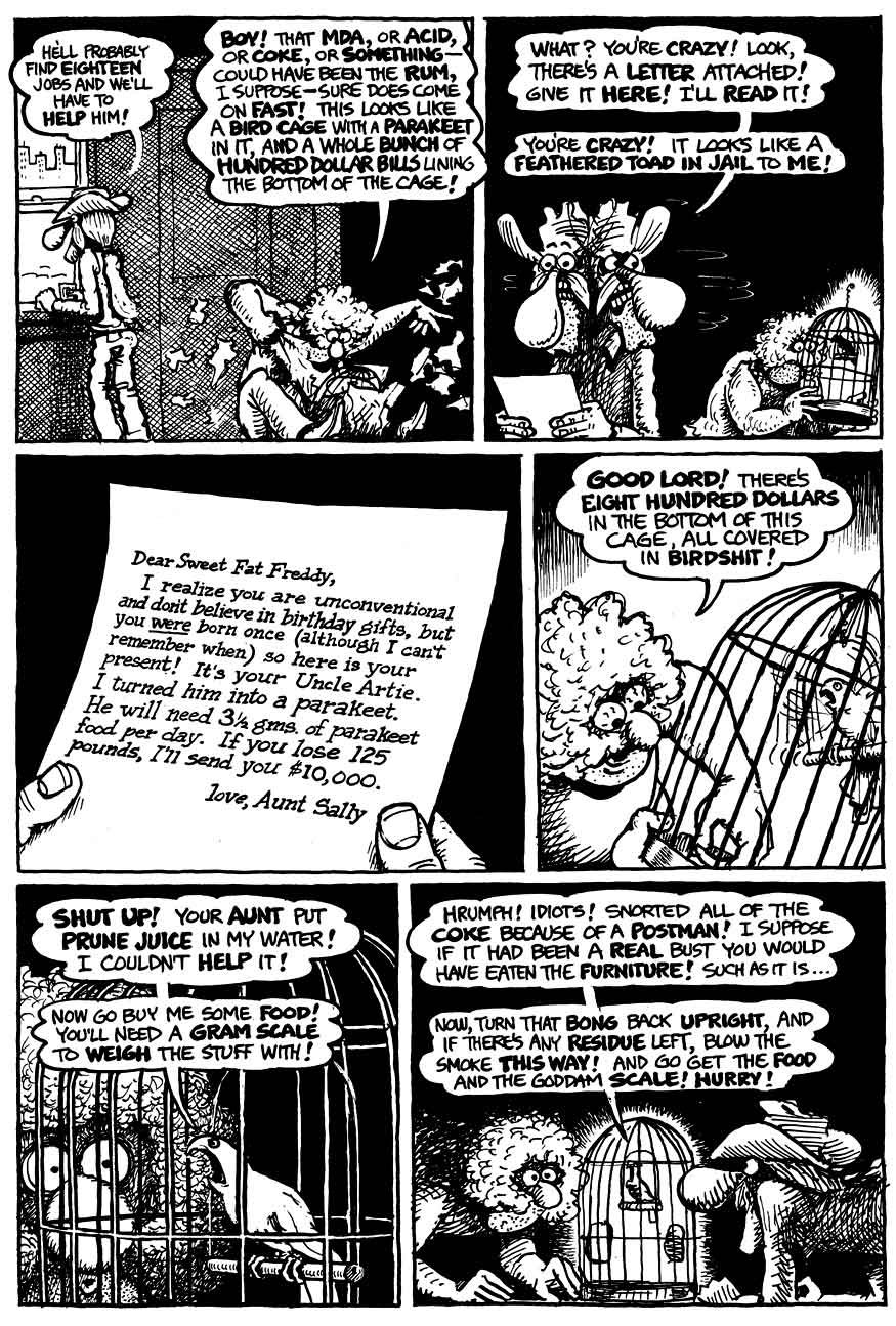 The Fabulous Furry Freak Brothers issue 6 - Page 6