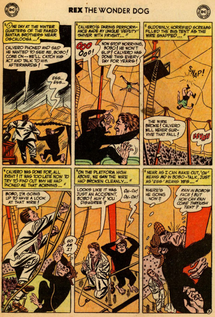 Read online The Adventures of Rex the Wonder Dog comic -  Issue #8 - 16