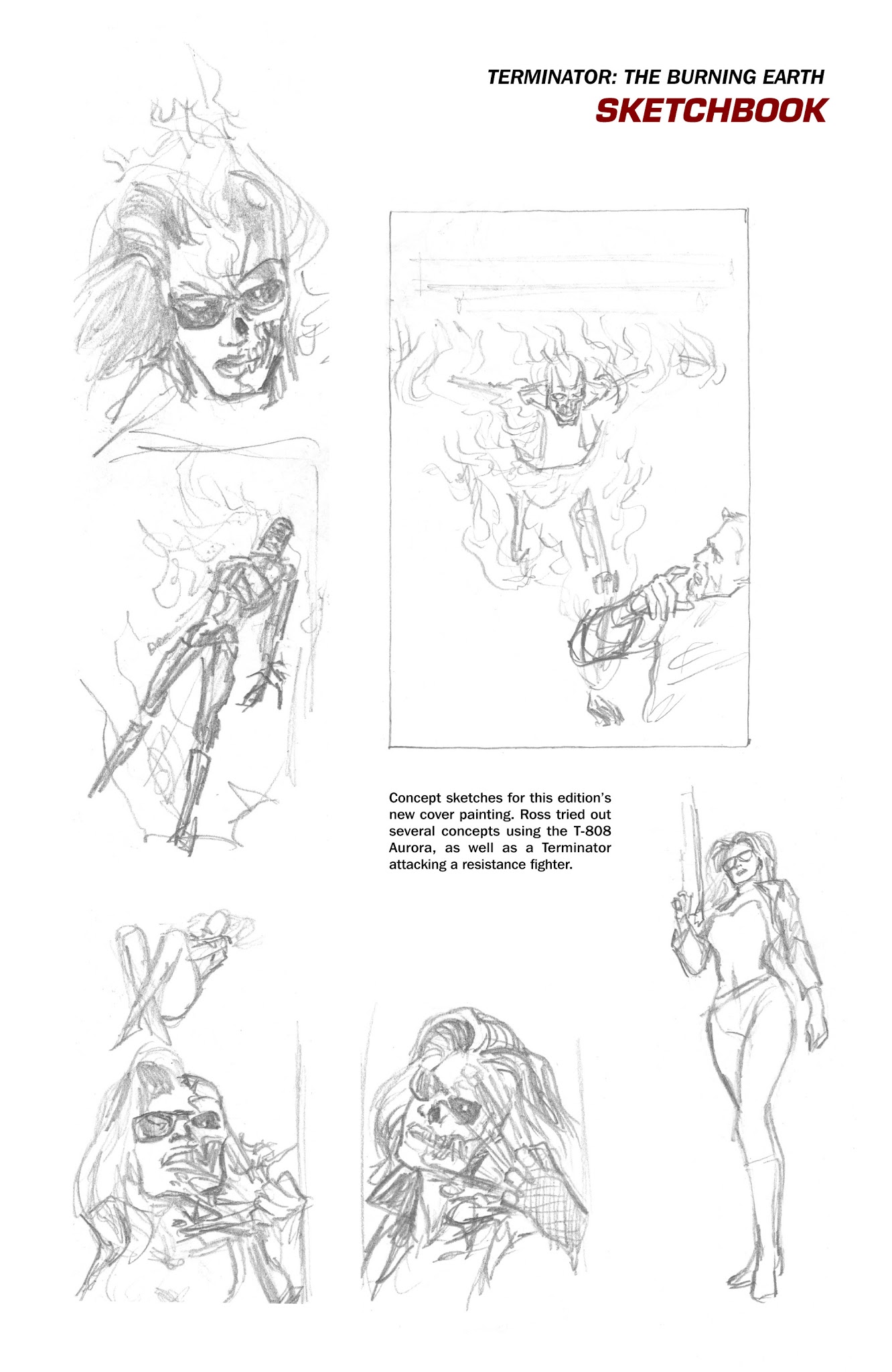Read online The Terminator: The Burning Earth comic -  Issue # TPB - 133