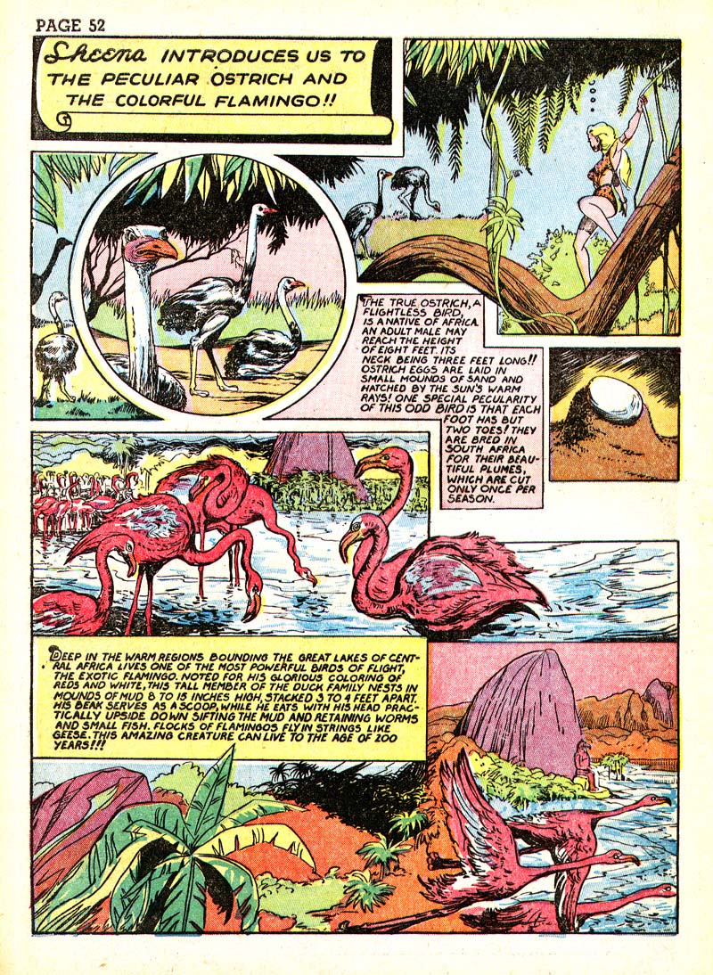 Read online Sheena, Queen of the Jungle (1942) comic -  Issue #3 - 55