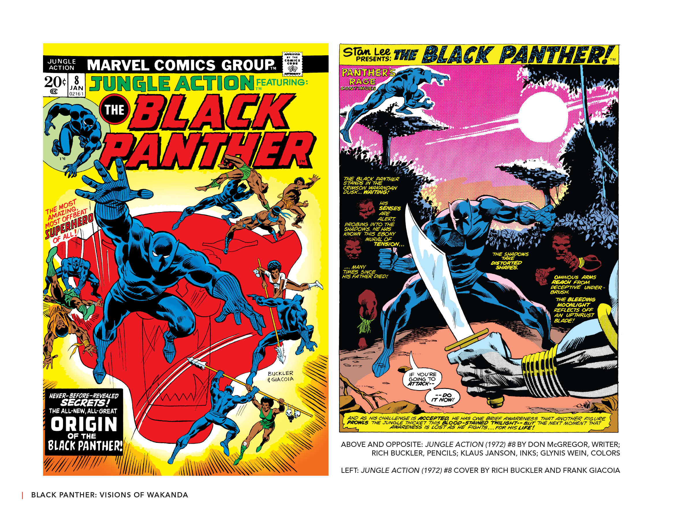 Read online Black Panther: Visions of Wakanda comic -  Issue # TPB (Part 1) - 66