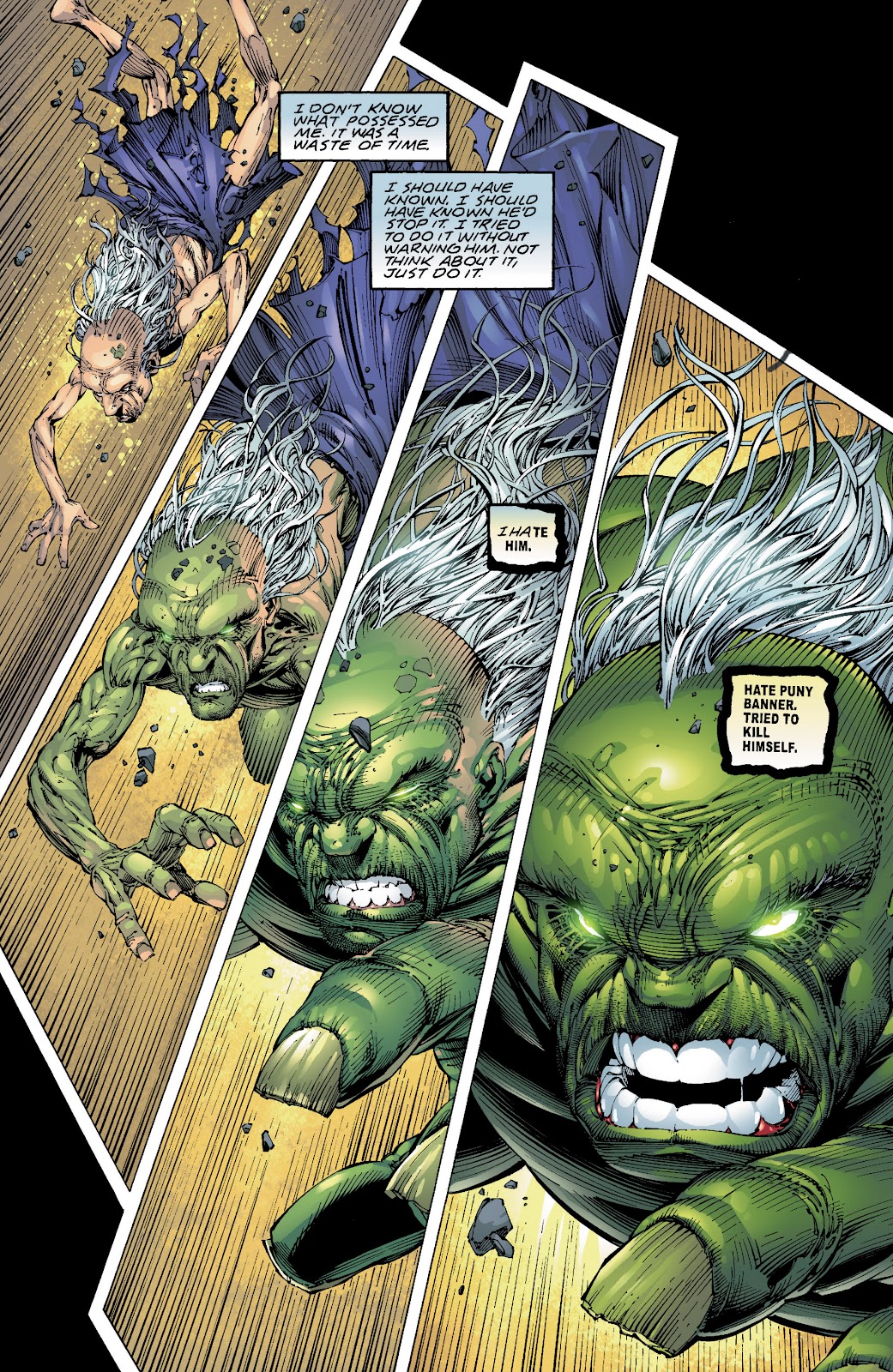 Incredible Hulk: The End issue TPB - Page 30