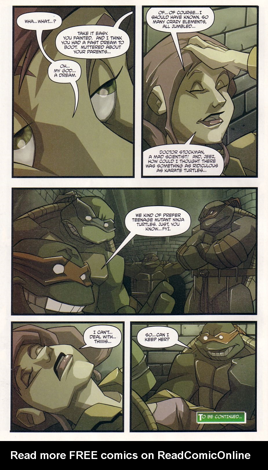 Teenage Mutant Ninja Turtles (2003) Issue #2 #2 - English 24