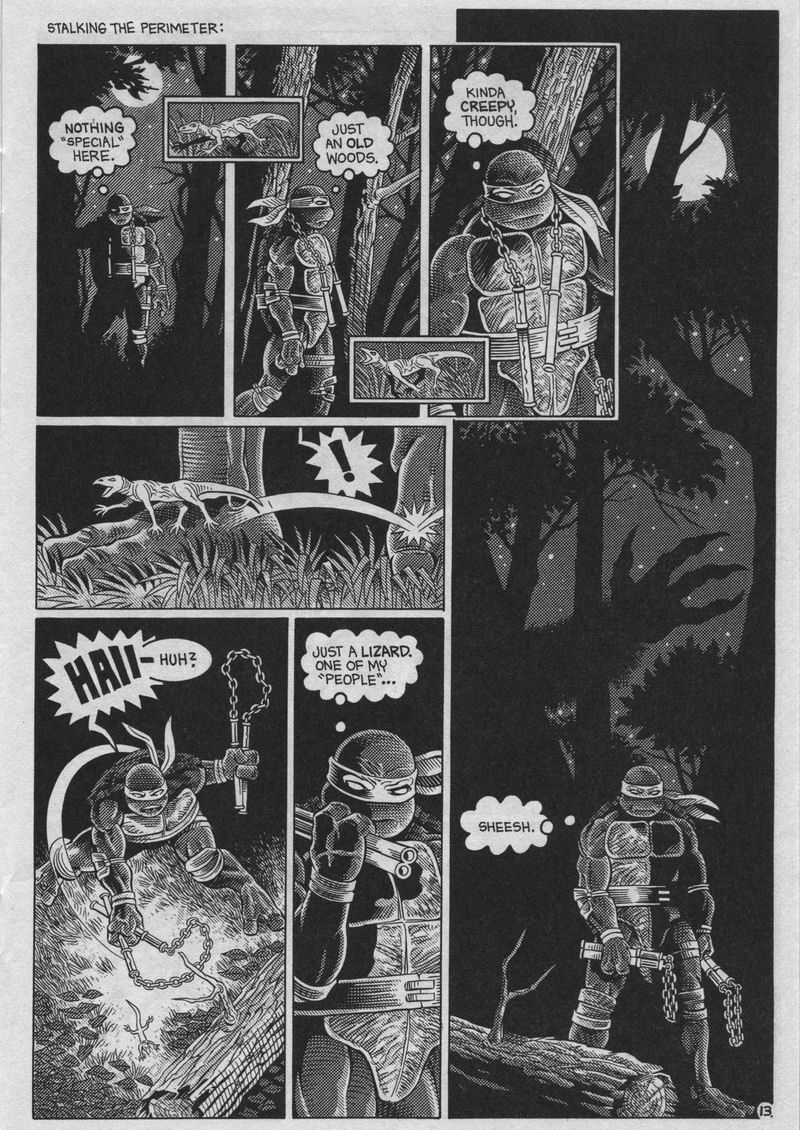 Teenage Mutant Ninja Turtles (1984) Issue #37 #37 - English 13
