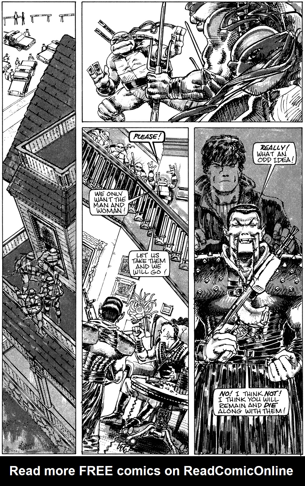 Teenage Mutant Ninja Turtles (1984) Issue #29 #29 - English 13