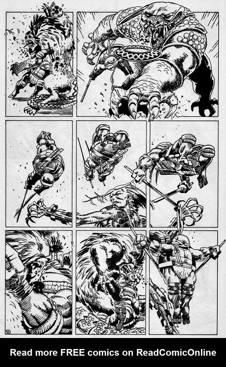 Read online Teenage Mutant Ninja Turtles (1984) comic -  Issue #43 - 34