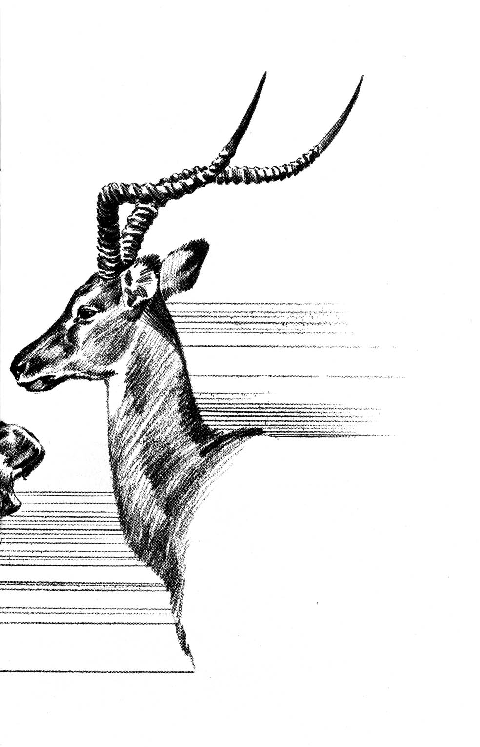 Read online Jon Sable, Freelance comic -  Issue #23 - 31