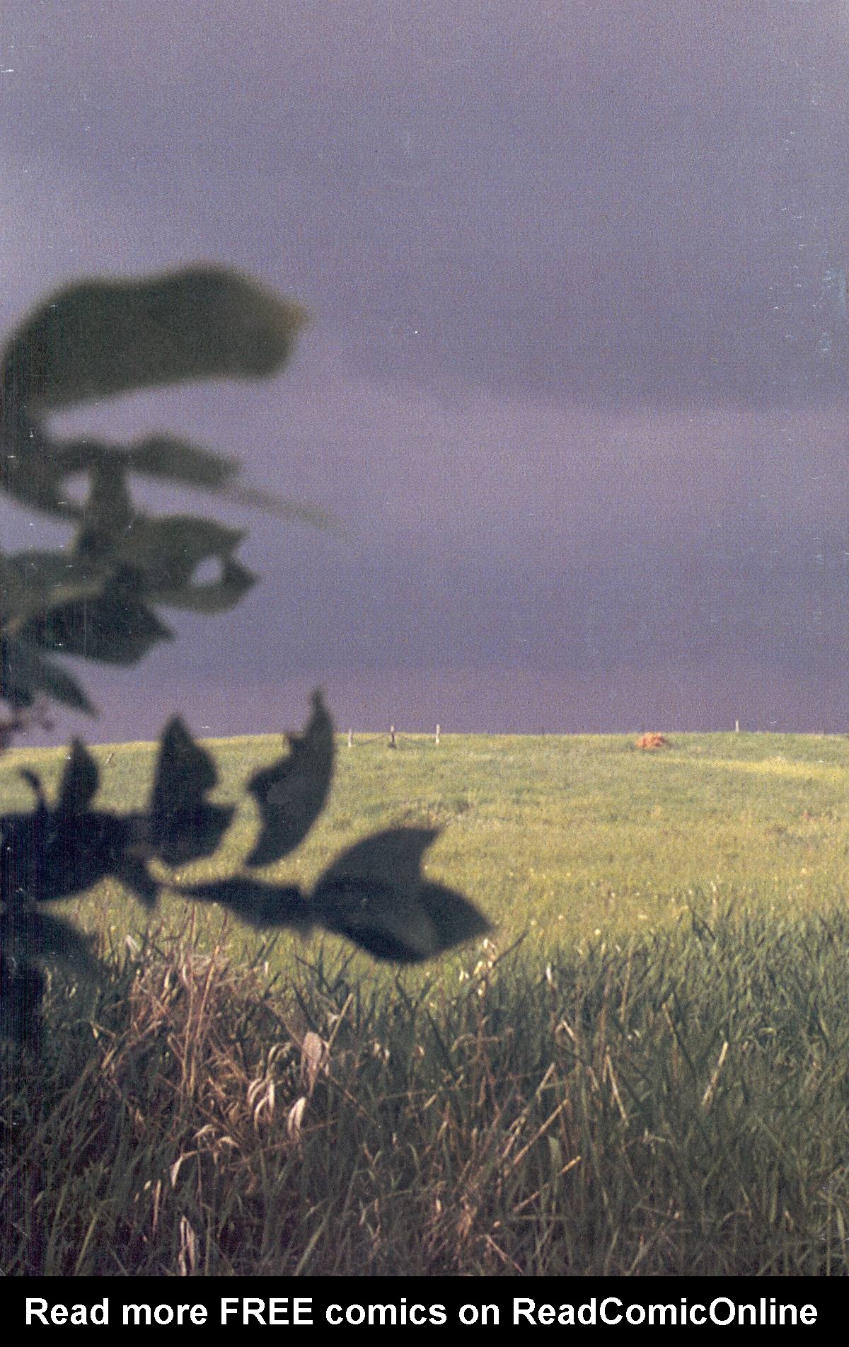 Read online Cerebus comic -  Issue #232 - 29