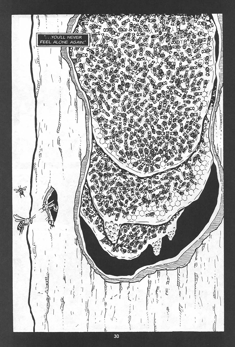 Read online Clan Apis comic -  Issue # TPB (Part 1) - 31