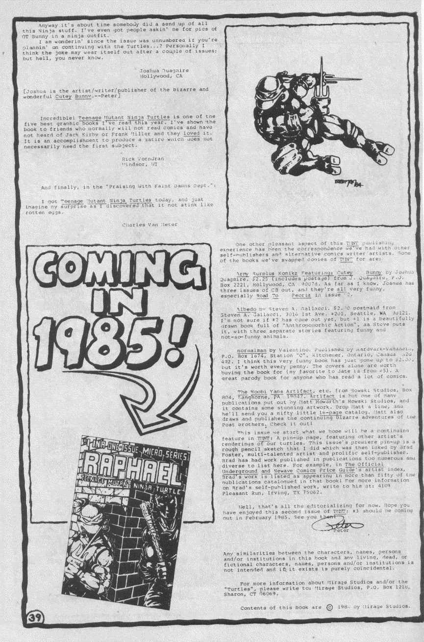 Teenage Mutant Ninja Turtles (1984) Issue #2 #2 - English 40