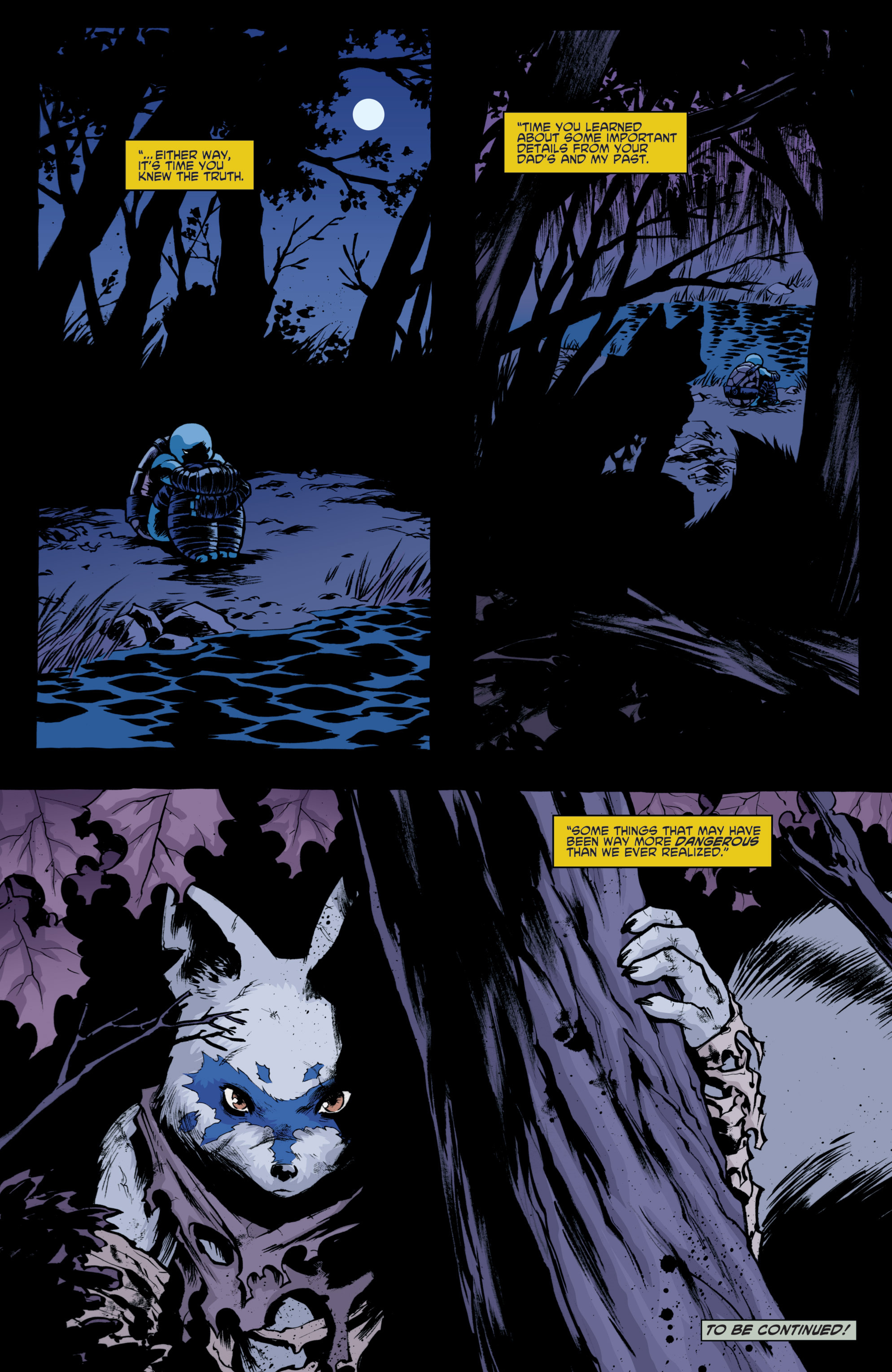 Read online Teenage Mutant Ninja Turtles: The IDW Collection comic -  Issue # TPB 4 (Part 1) - 28
