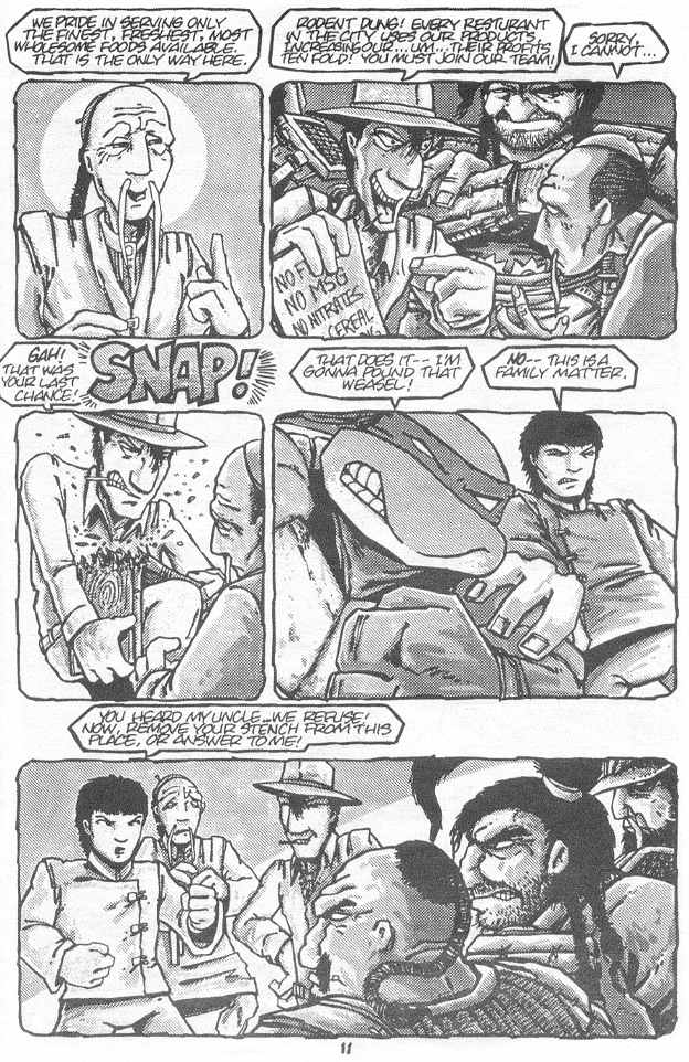Teenage Mutant Ninja Turtles (1984) Issue #18 #18 - English 15