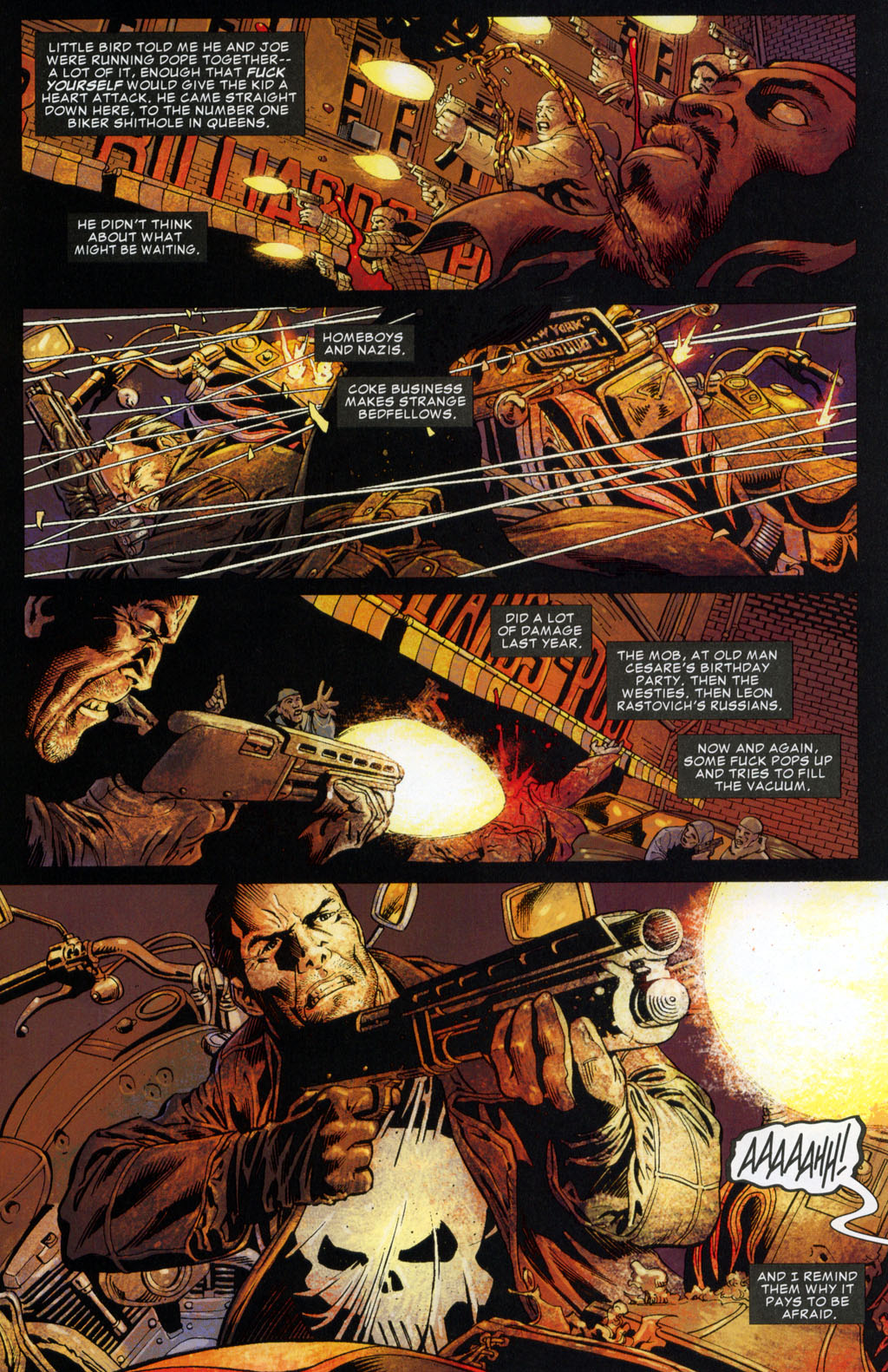 Read online The Punisher (2004) comic -  Issue #19 - 12