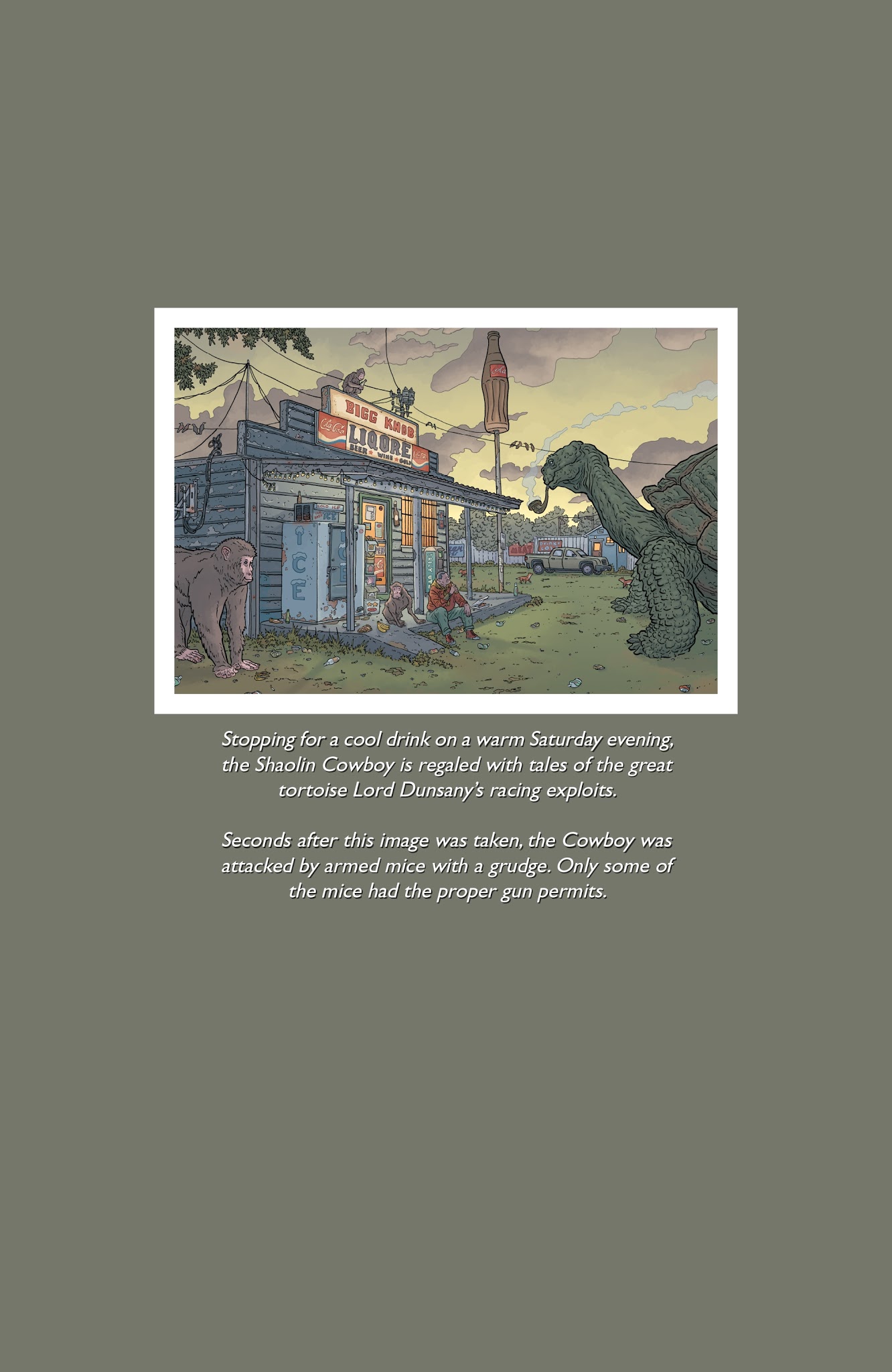 Read online The Shaolin Cowboy: Who'll Stop the Reign? comic -  Issue #4 - 29