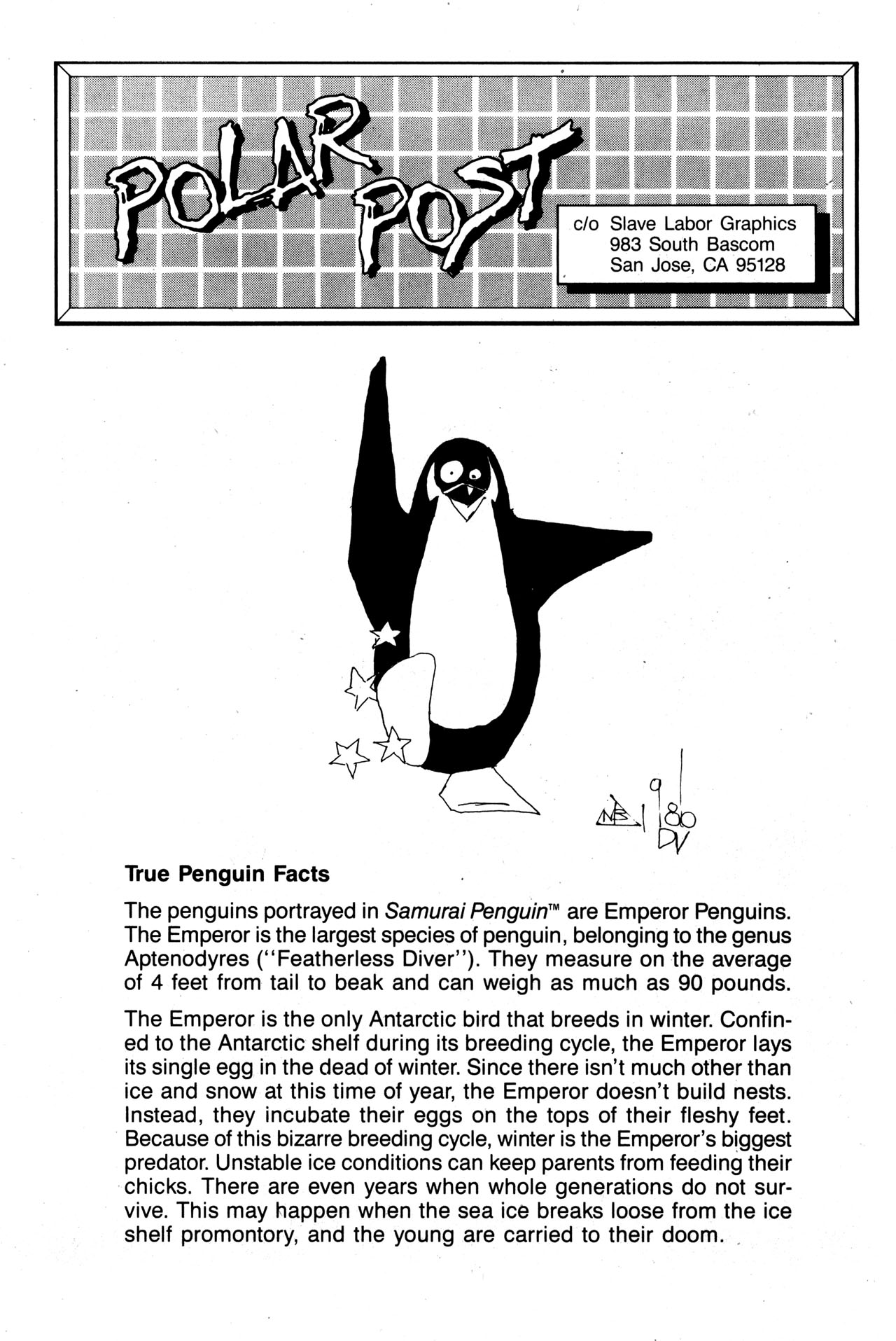 Read online Samurai Penguin comic -  Issue #1 - 24