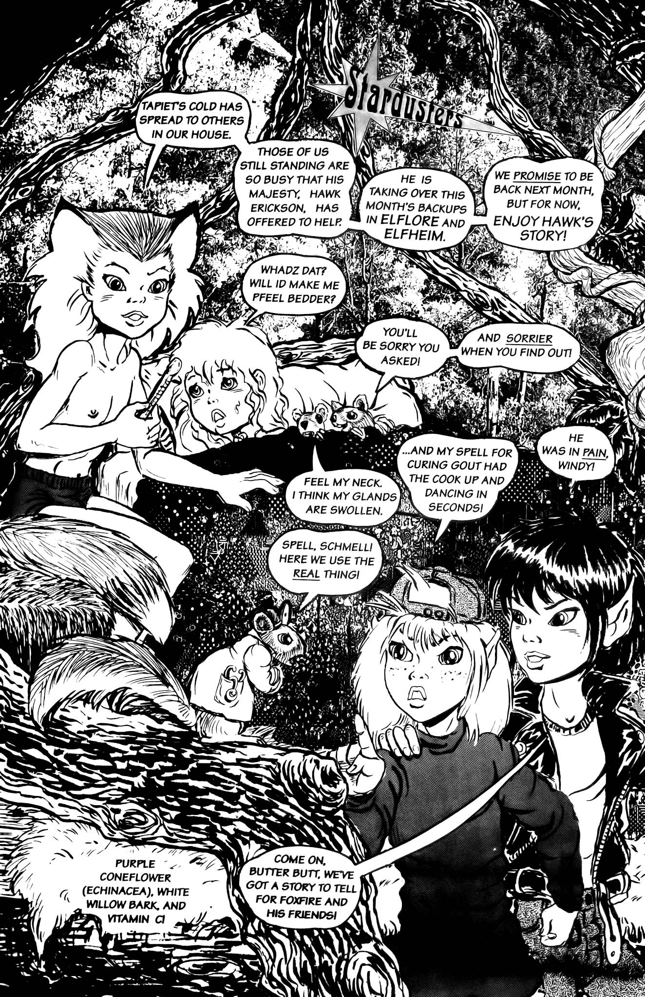 Read online Elfheim: Dragon's Dreams comic -  Issue #2 - 21