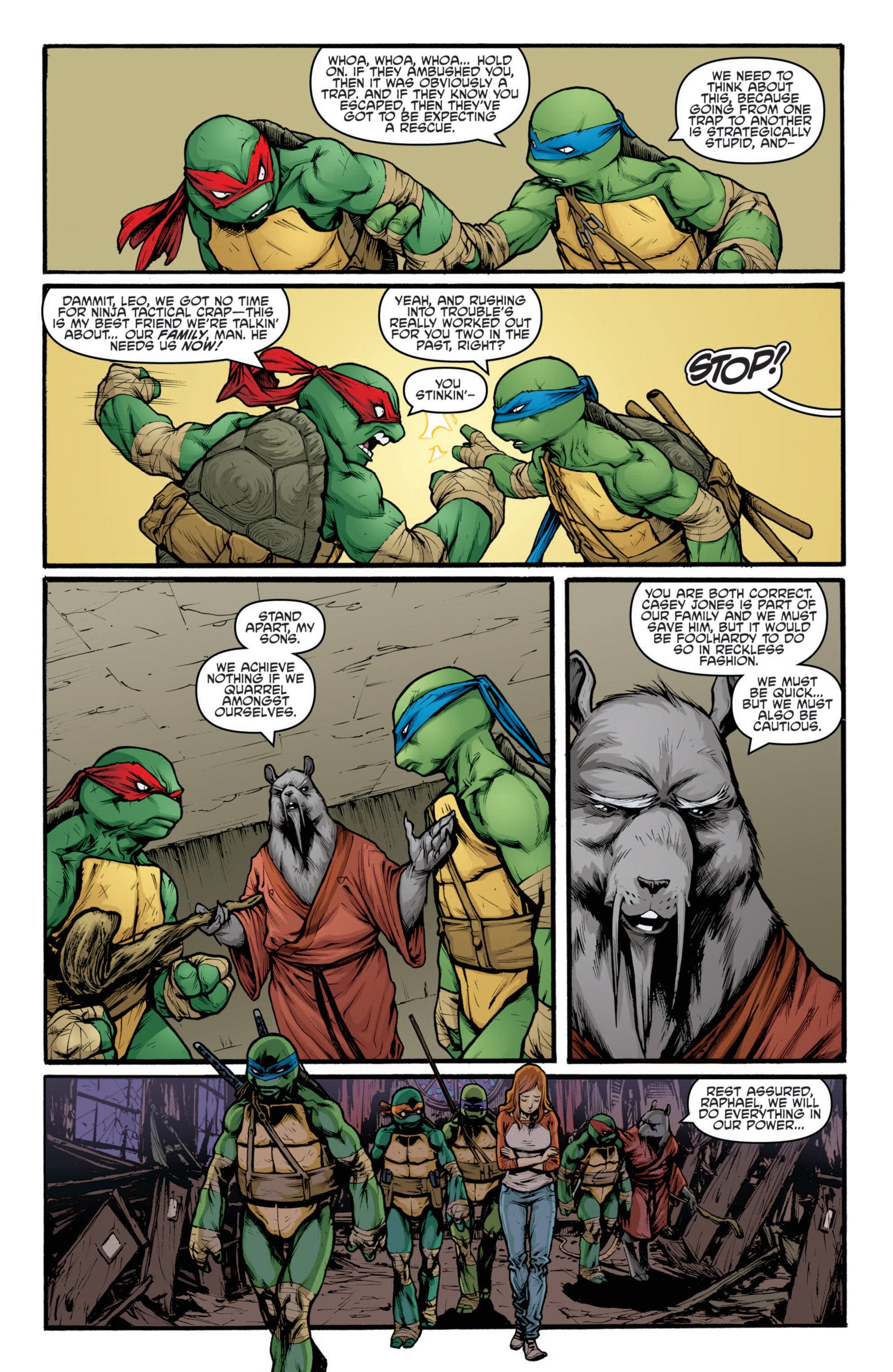 Read online Teenage Mutant Ninja Turtles (2011) comic -  Issue #22 - 16