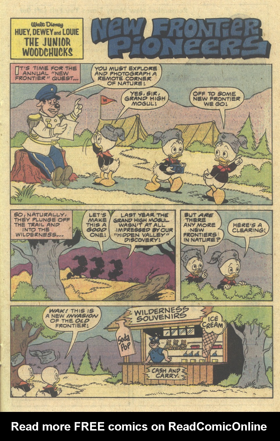 Read online Huey, Dewey, and Louie Junior Woodchucks comic -  Issue #61 - 13