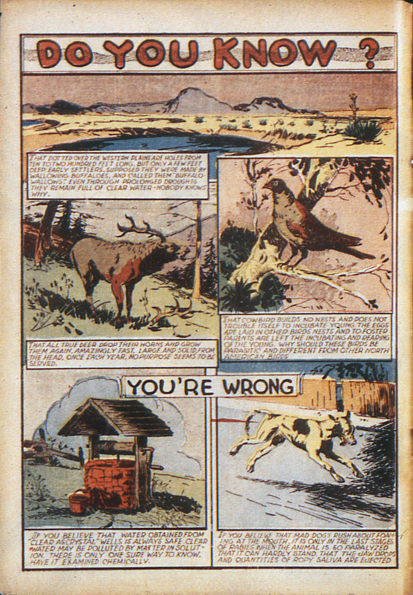 Read online Adventure Comics (1938) comic -  Issue #10 - 5