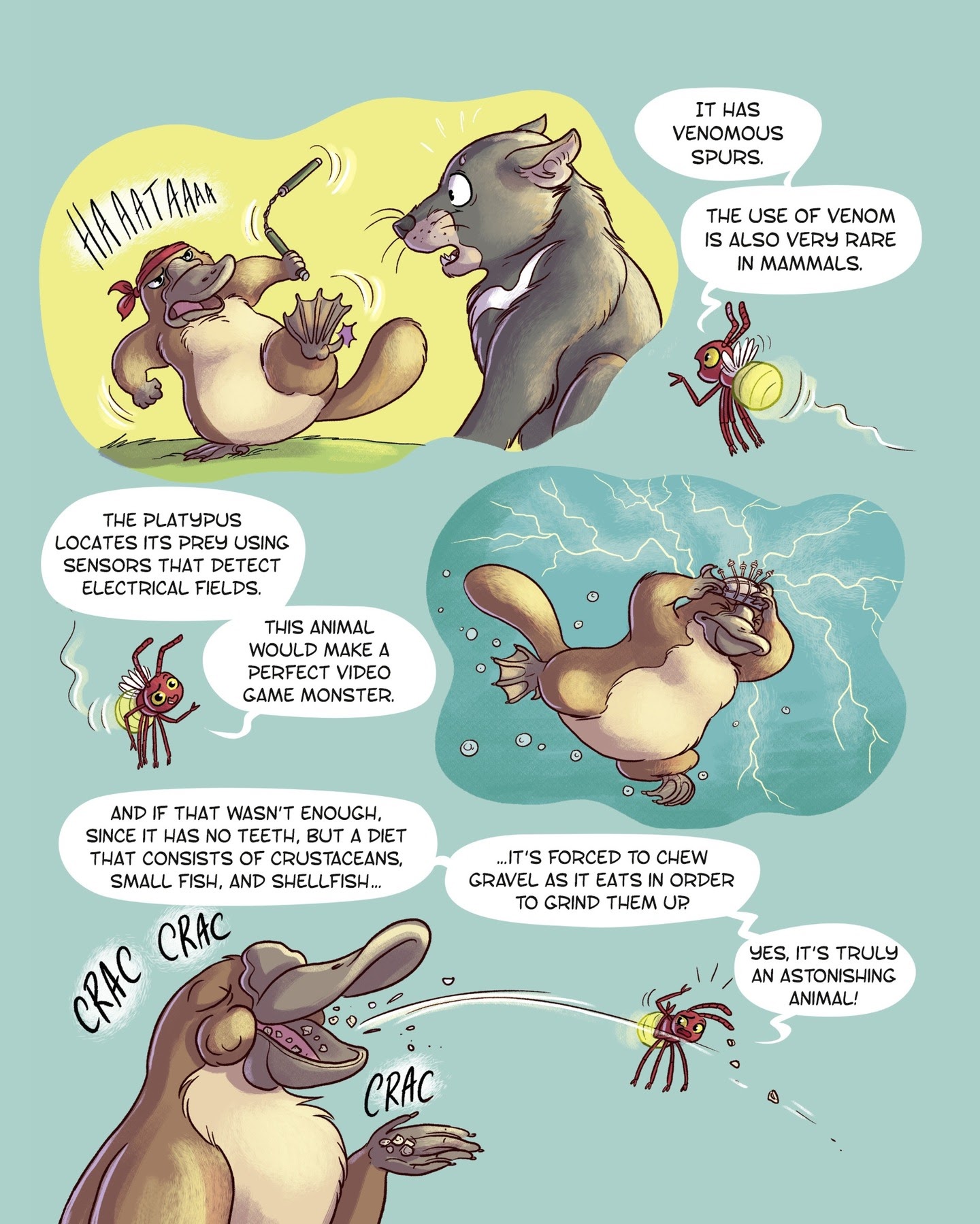 Read online Animal Jack comic -  Issue # TPB 3 - 99