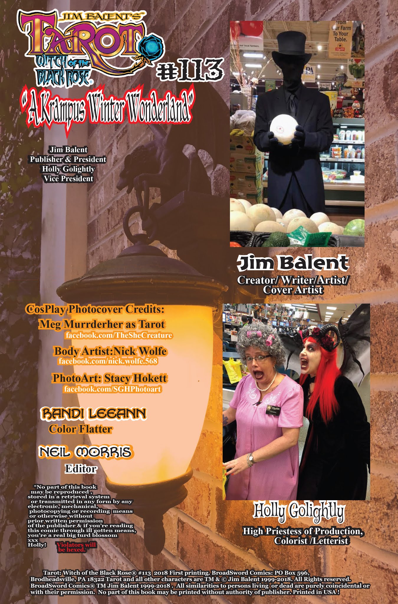 Read online Tarot: Witch of the Black Rose comic -  Issue #113 - 2