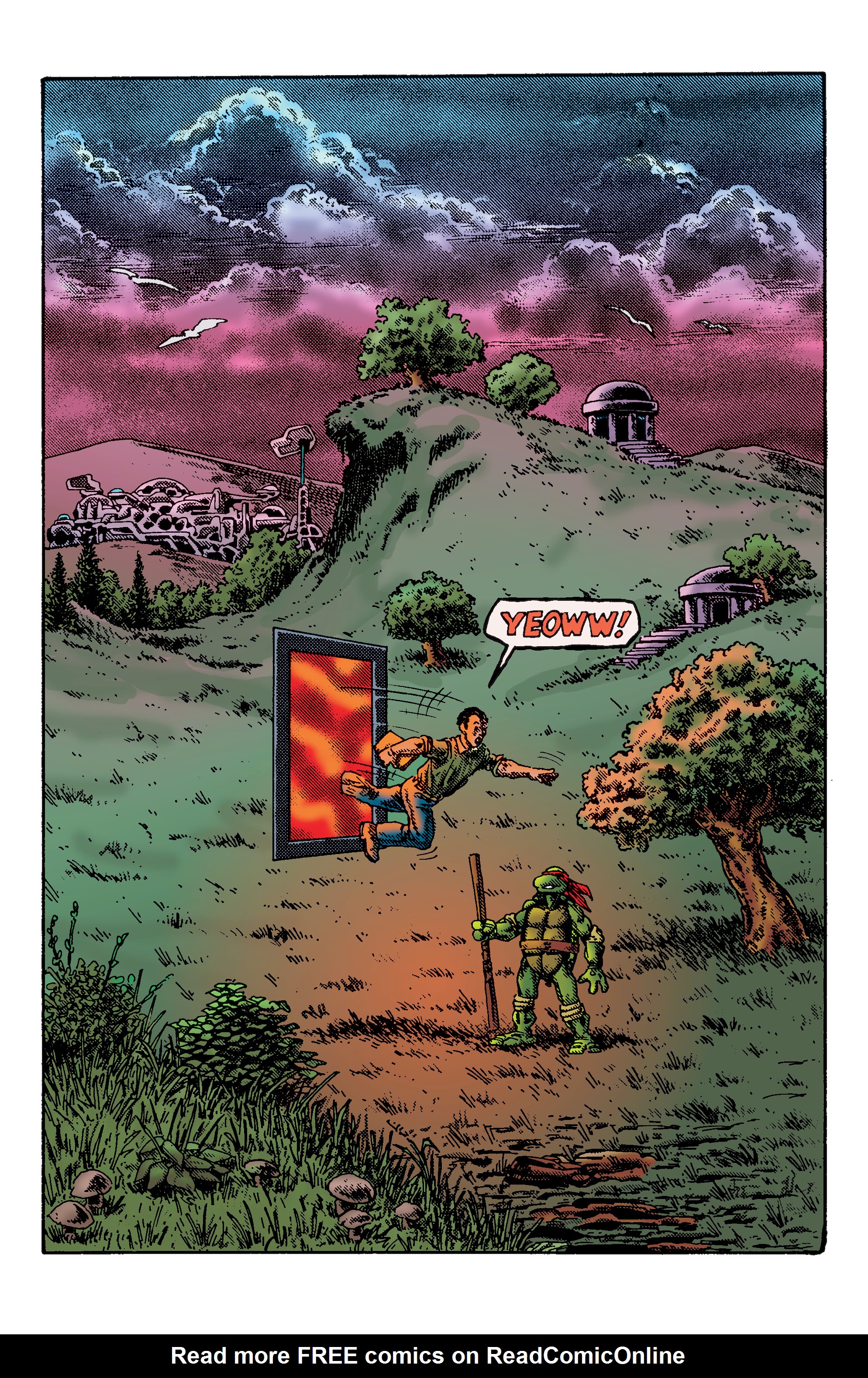 Read online TMNT: Best of Raphael comic -  Issue # TPB - 14