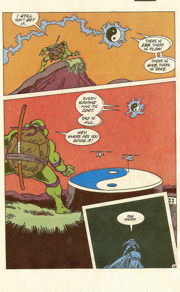 Read online Teenage Mutant Ninja Turtles Adventures (1989) comic -  Issue #31 - 24
