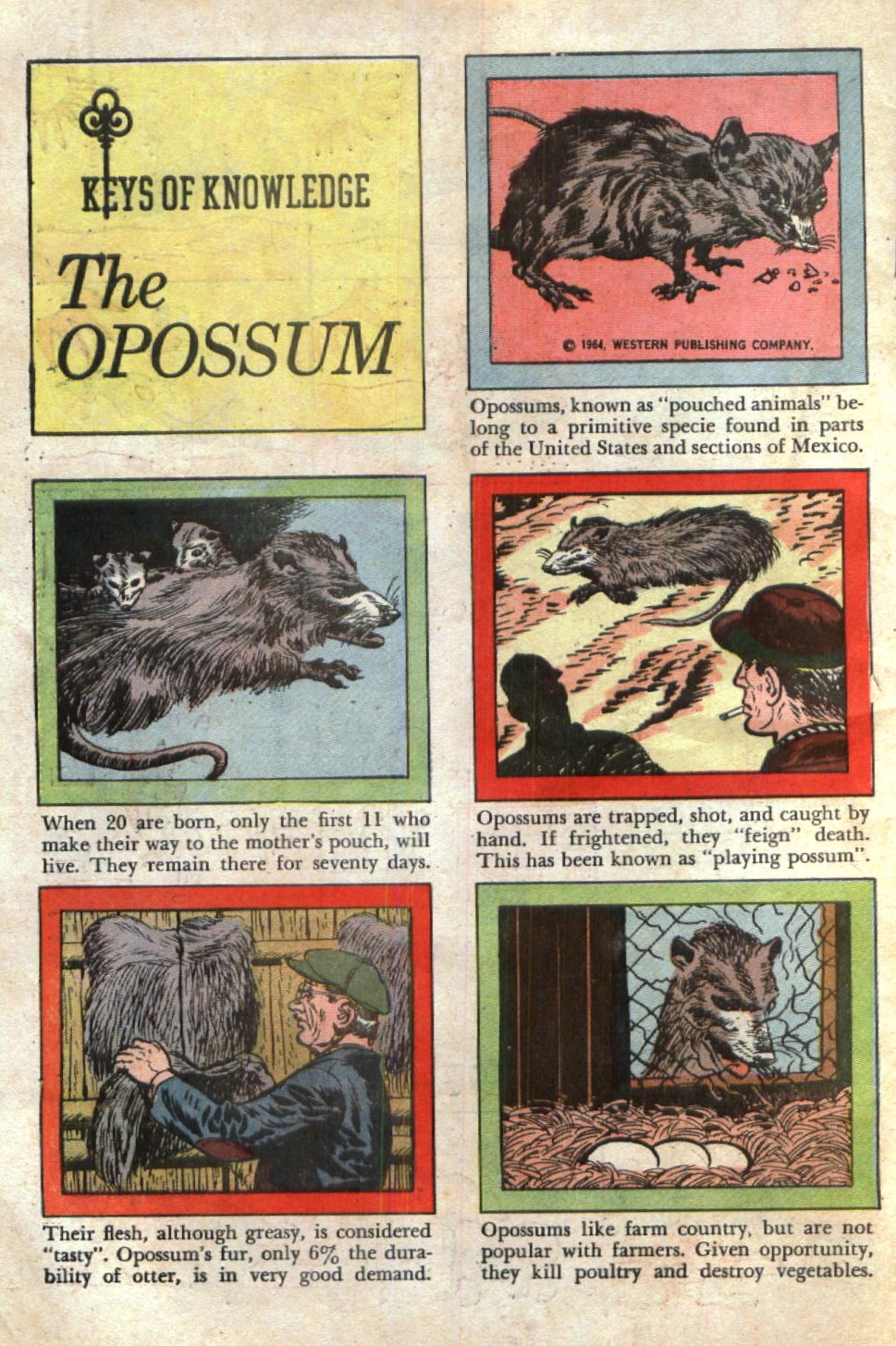 Read online Boris Karloff Tales of Mystery comic -  Issue #21 - 34
