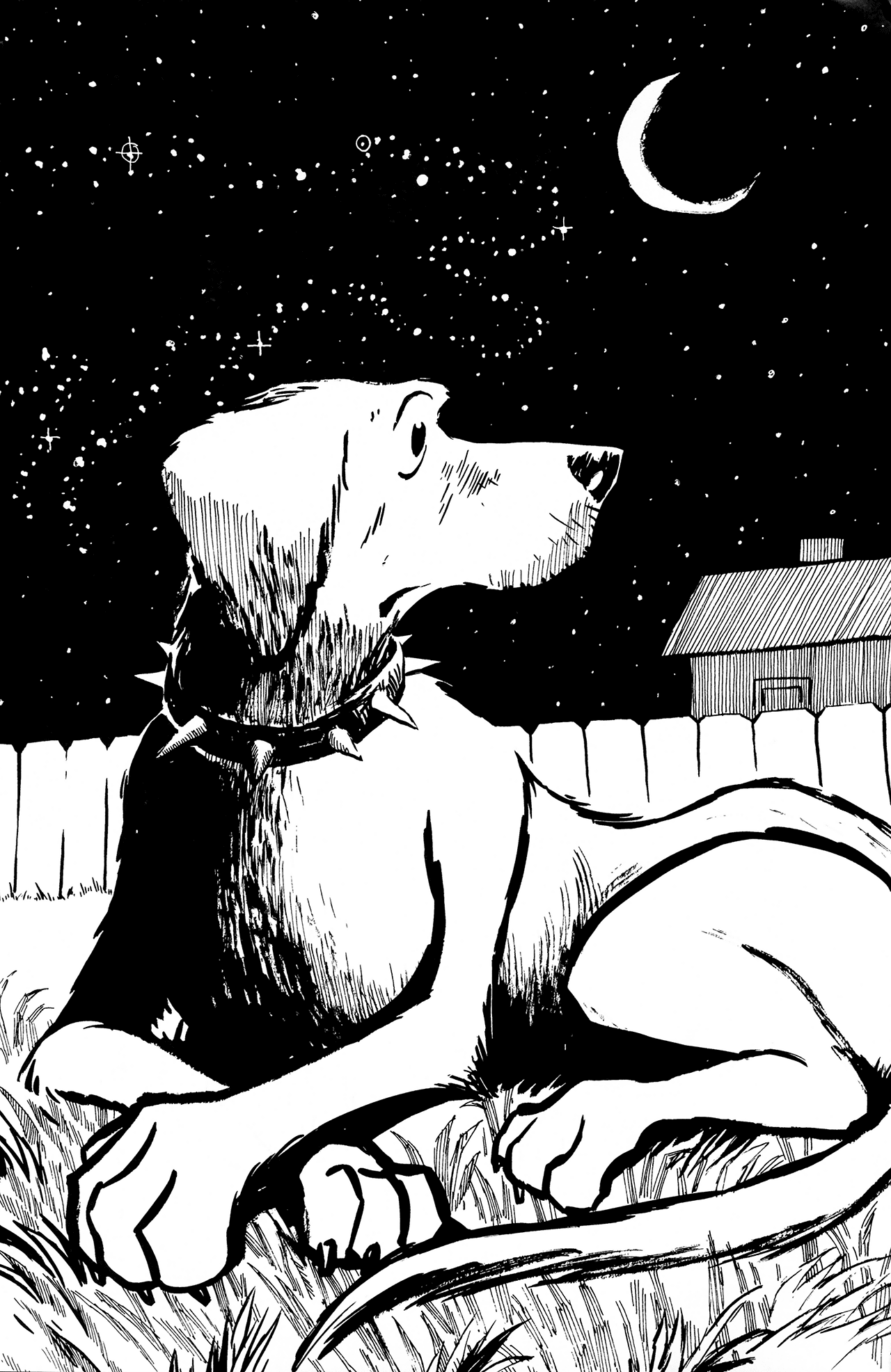 Read online Tommysaurus Rex comic -  Issue # TPB - 105