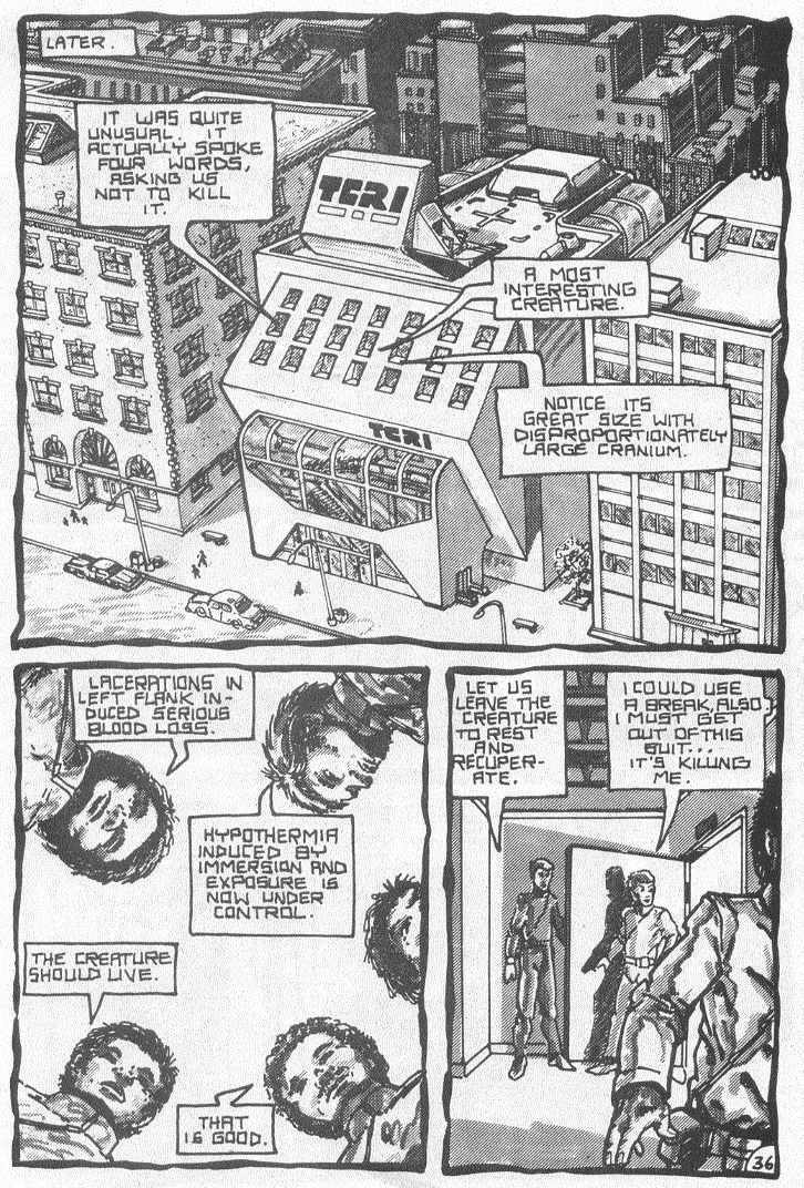 Teenage Mutant Ninja Turtles (1984) Issue #3 #3 - English 39